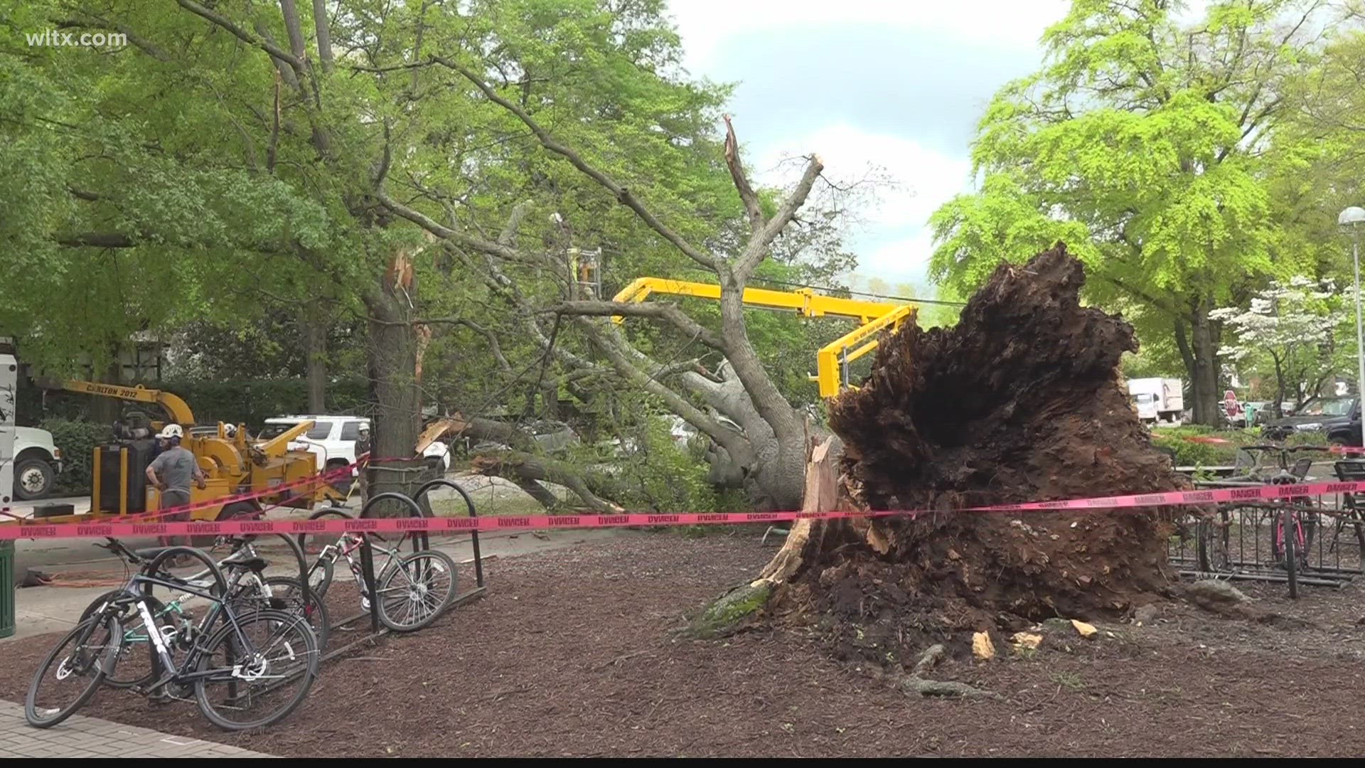 Tuesday evening's storm in the Midlands caused some limbs and trees to fall.