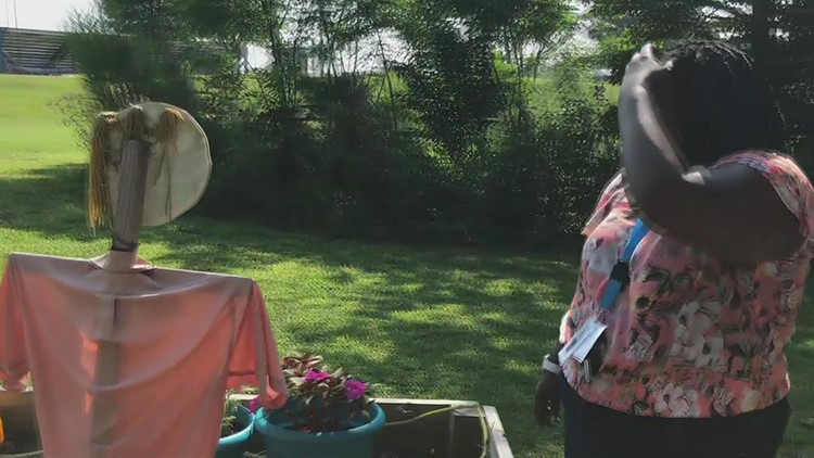 School gardens give students room to grow outside the classroom
