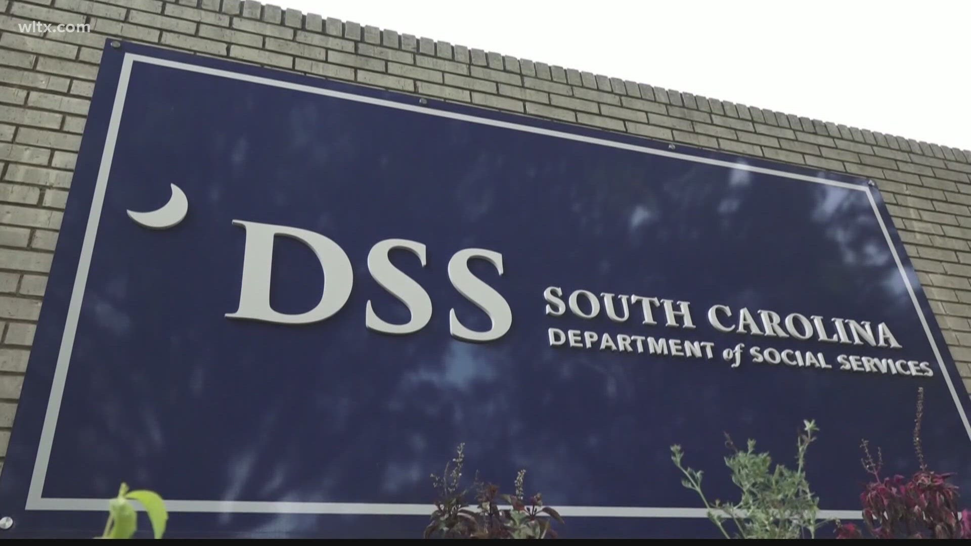 Seven kids, ages 13-17 were arrested for attacking staff members inside the DSS facility on Two Notch road.