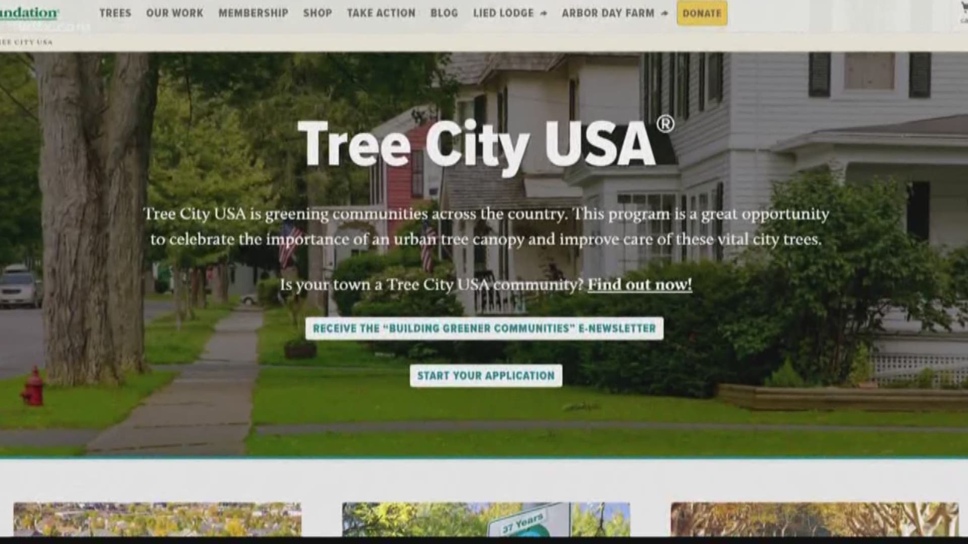 What does it take to be a Tree City city?