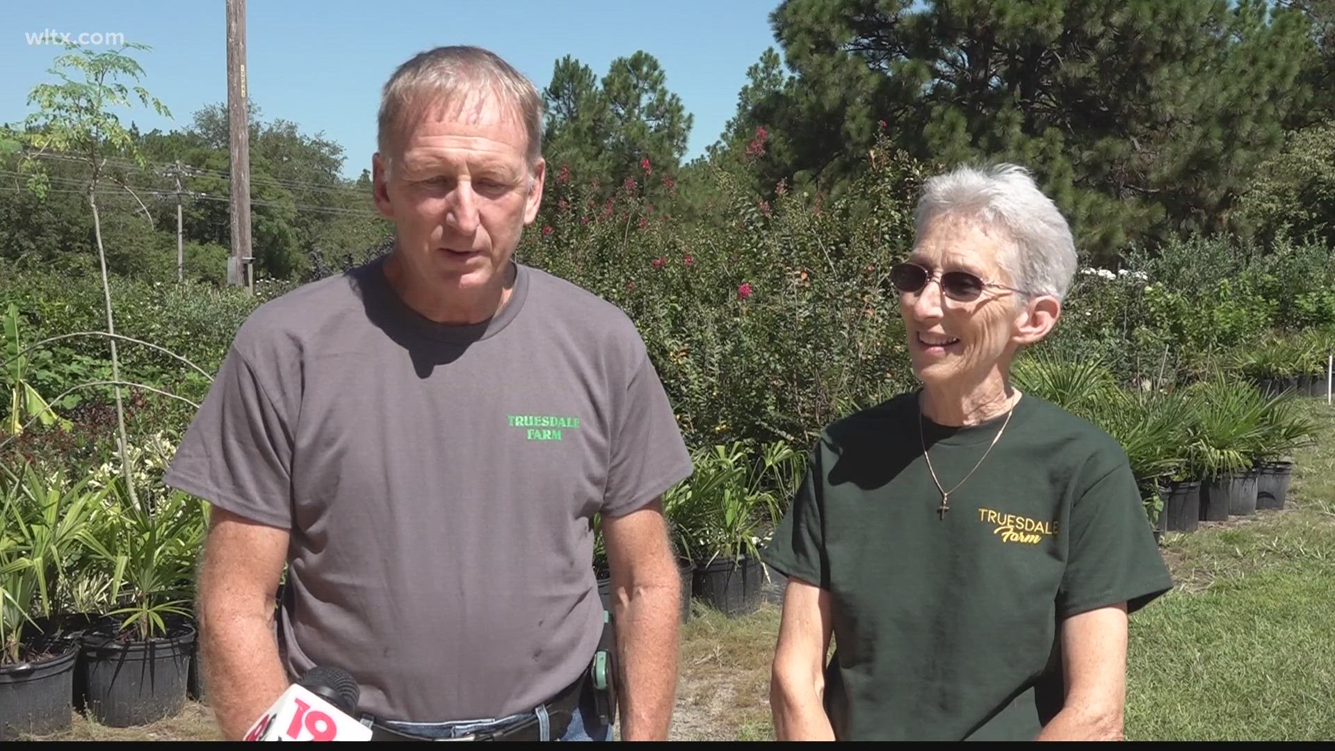 Trusdale Farms has been selling plants each year to raise money for the Kershaw County Community Medical Clinic.
