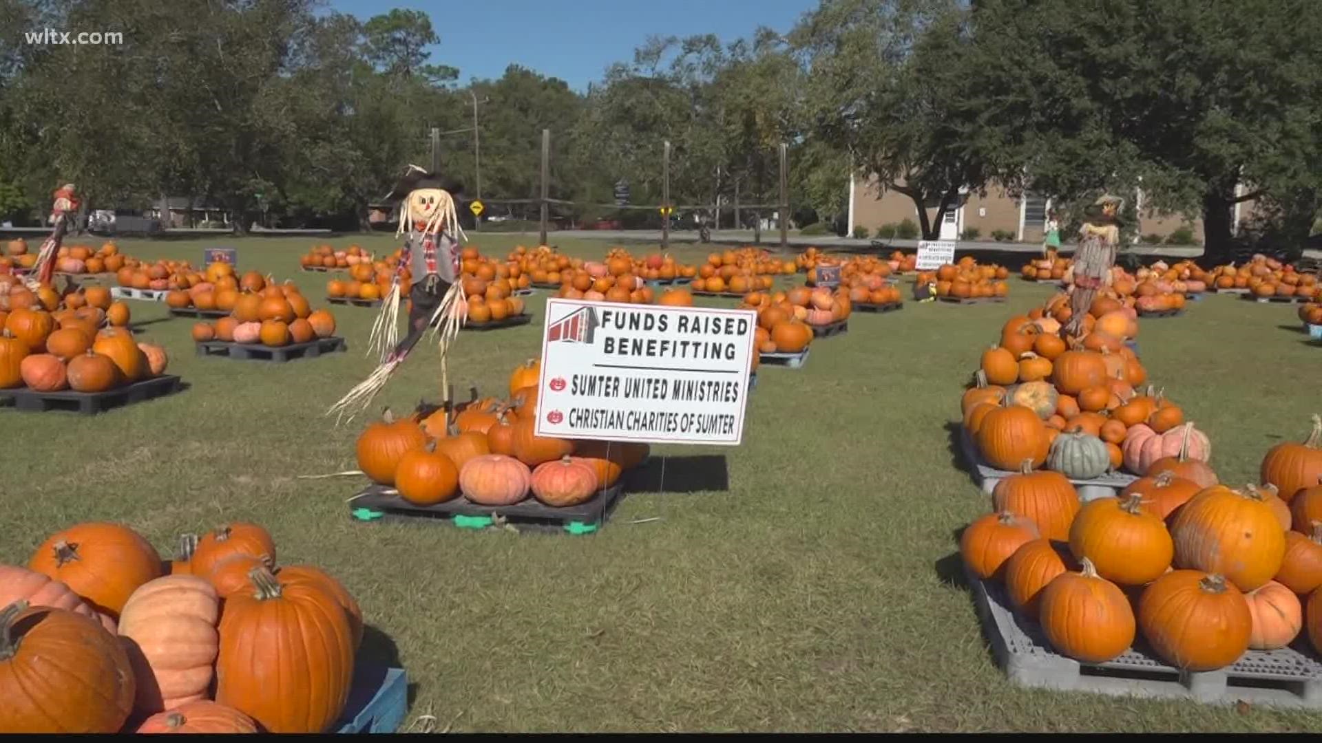 5,000 pumpkins are for sale to help fundraise for Sumter United Ministries.