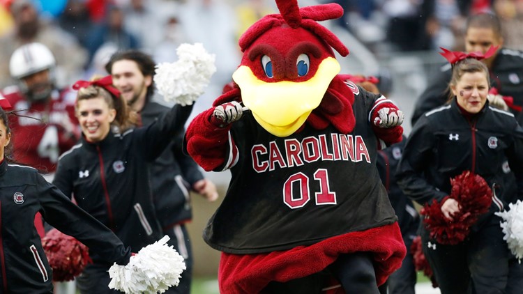 Cocky named one of the top 10 college mascots of all-time | wltx.com
