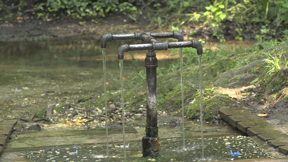 Healing Springs Willed to God in Blackville | wltx.com