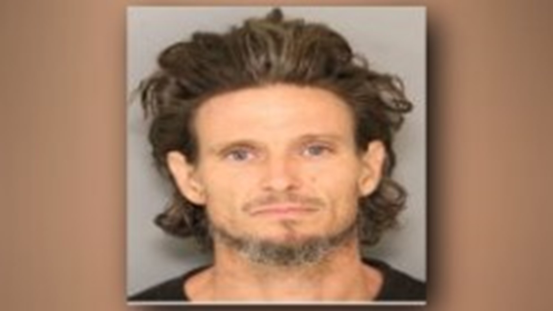 PHOTOS 50 charged in SC drug bust