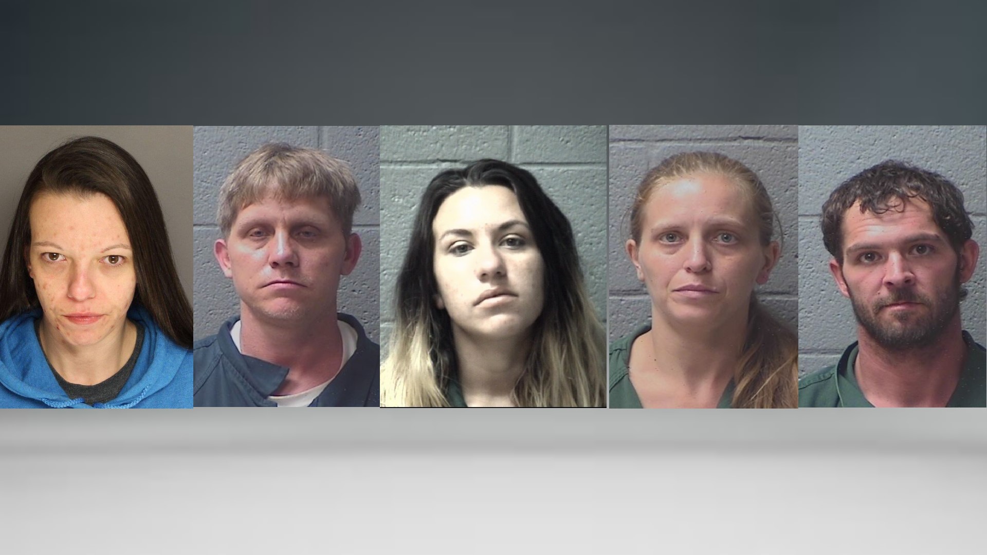 Arrests Made in Series of Orangeburg County Thefts, Two Suspects Still