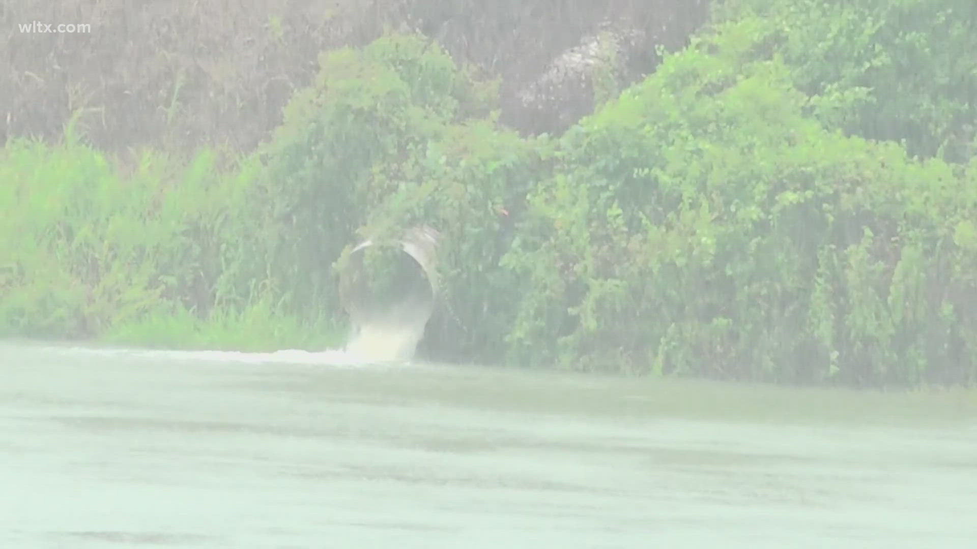 The rain is coming down in Calhoun county due to Tropical Storm Debby.