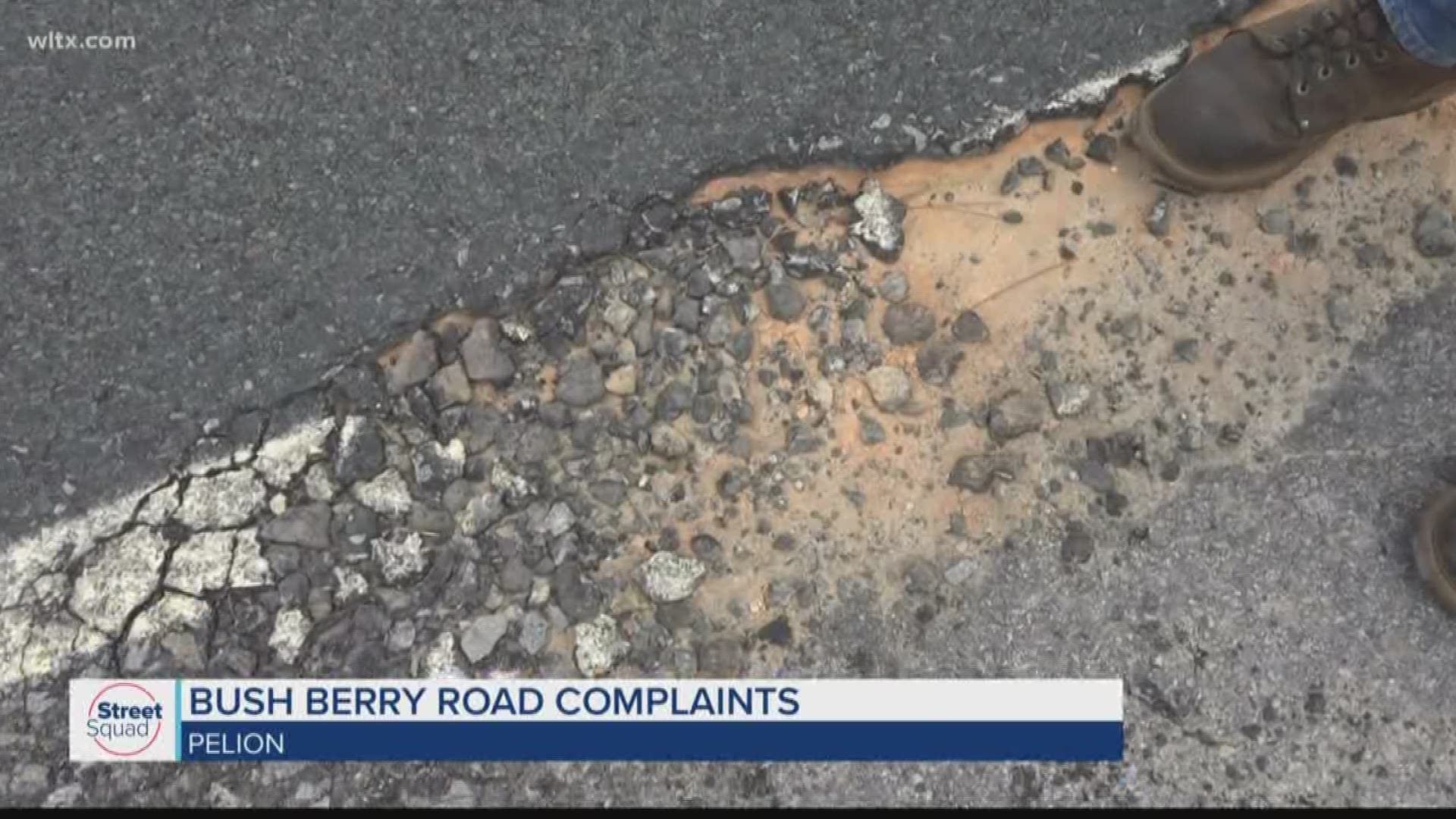 Residents on Bush Berry road in Pelion are not happy about the condition of the road