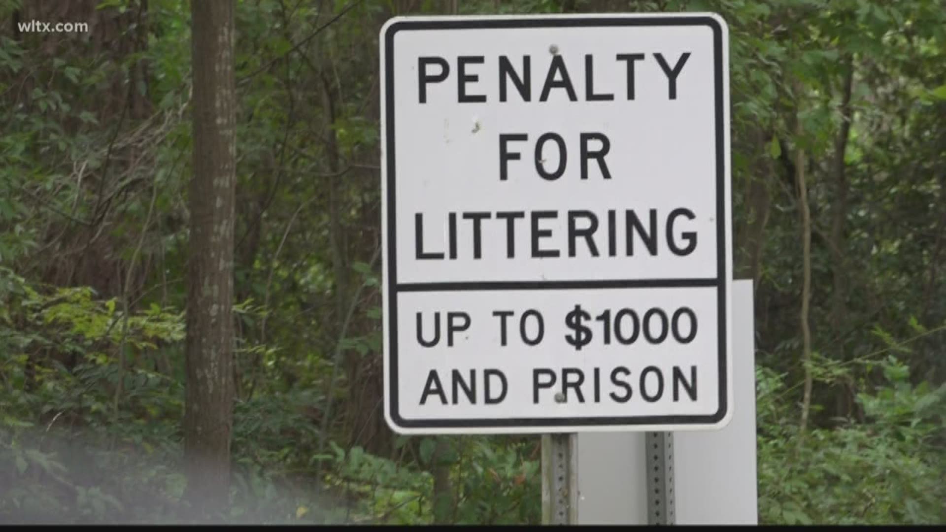 Town council approved to hire high schoolers part-time to help pick up litter around the area.
