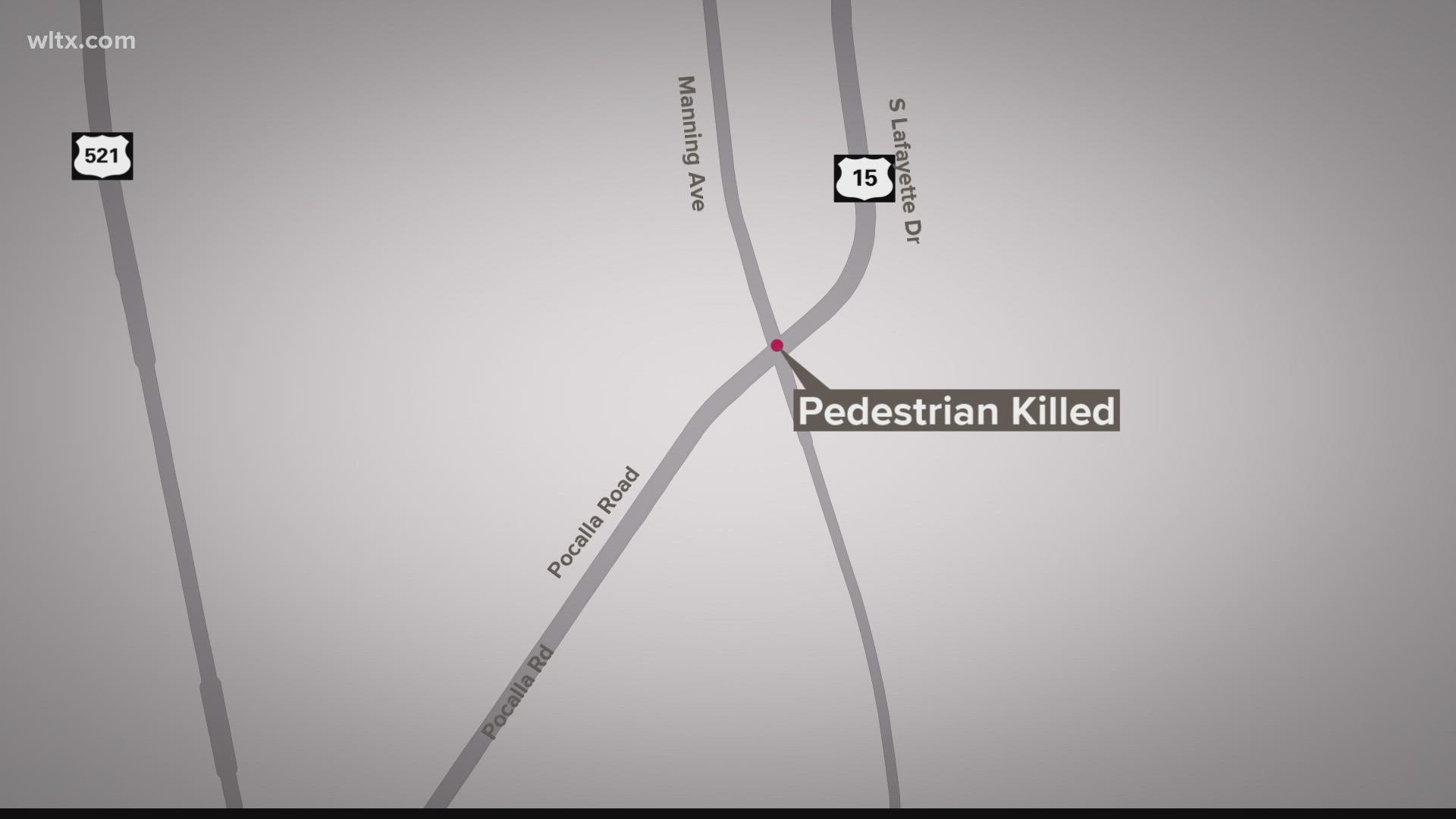 A person is dead after being struck by a Sumter County Sheriff's Office vehicle Friday afternoon.