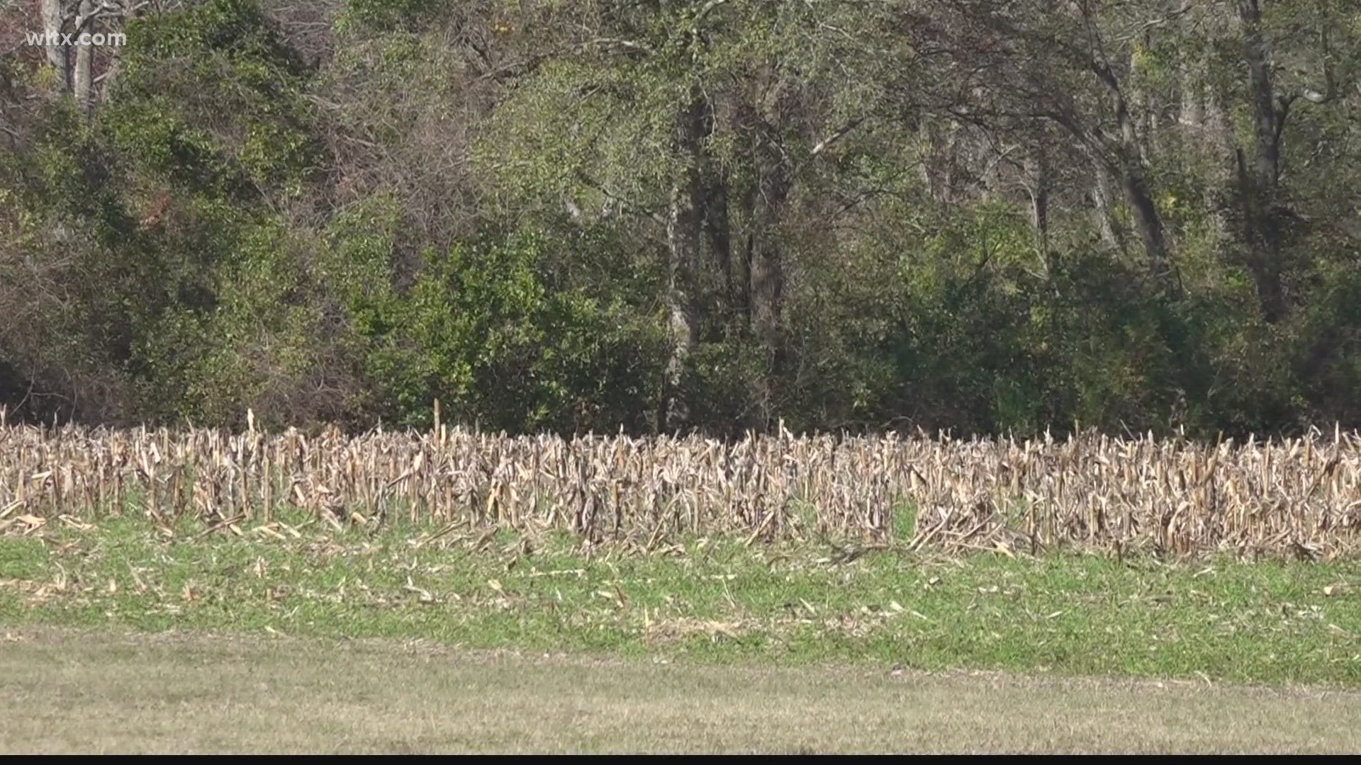 A Sumter county farming community is coming together to oppose a rezoning request.