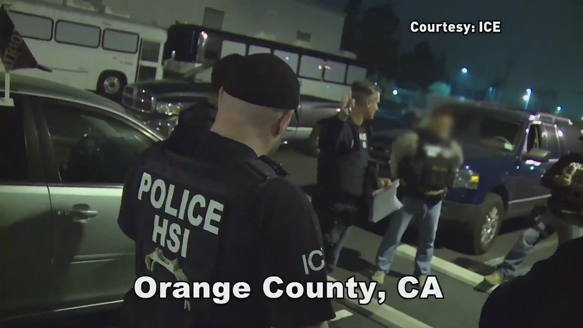 This video, provided by ICE, shows officers making arrests as part of the case.