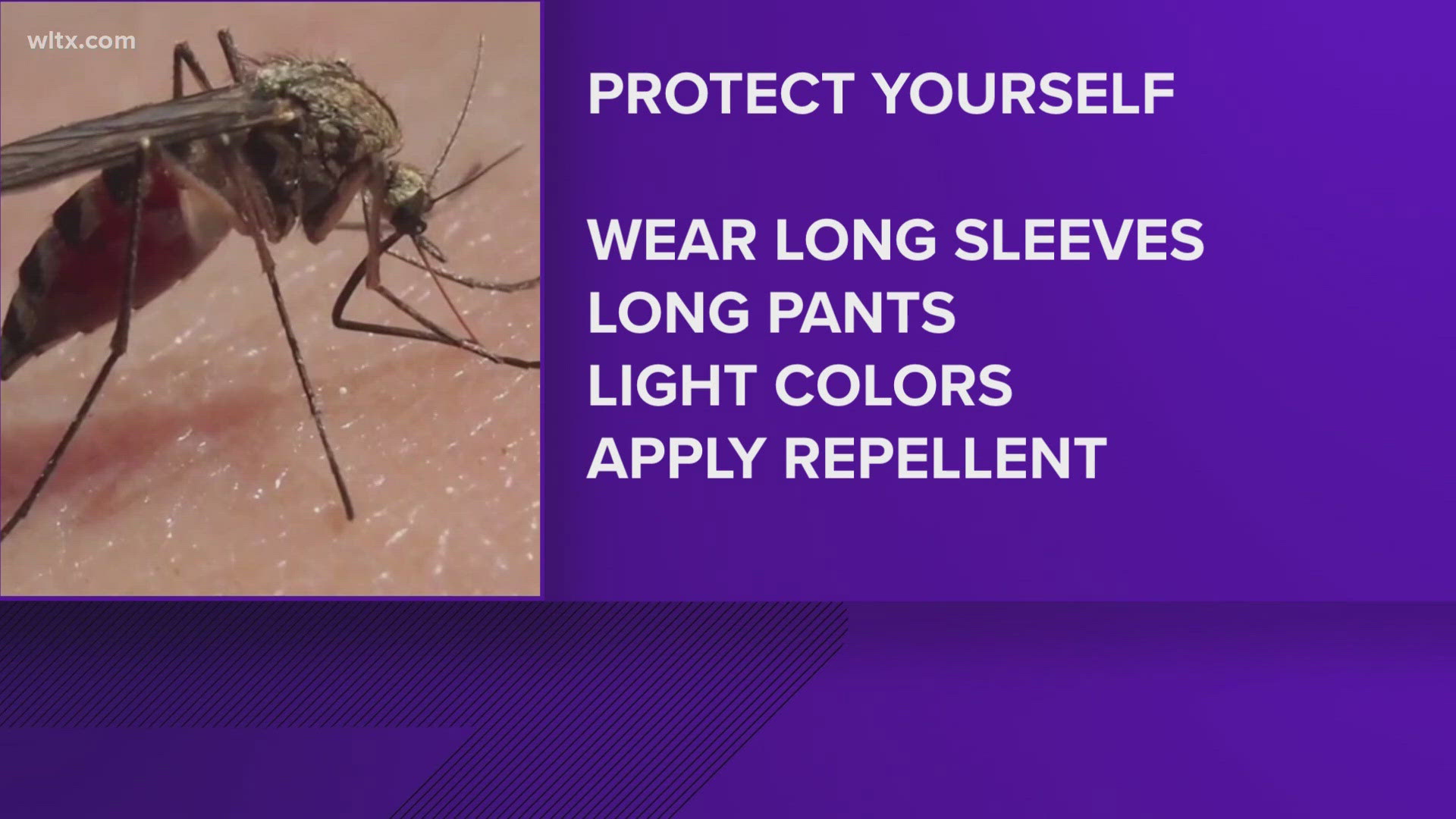 The agency says the best way to protect yourself is to wear long sleeves and pants and to wear light colored loose fitting clothes.