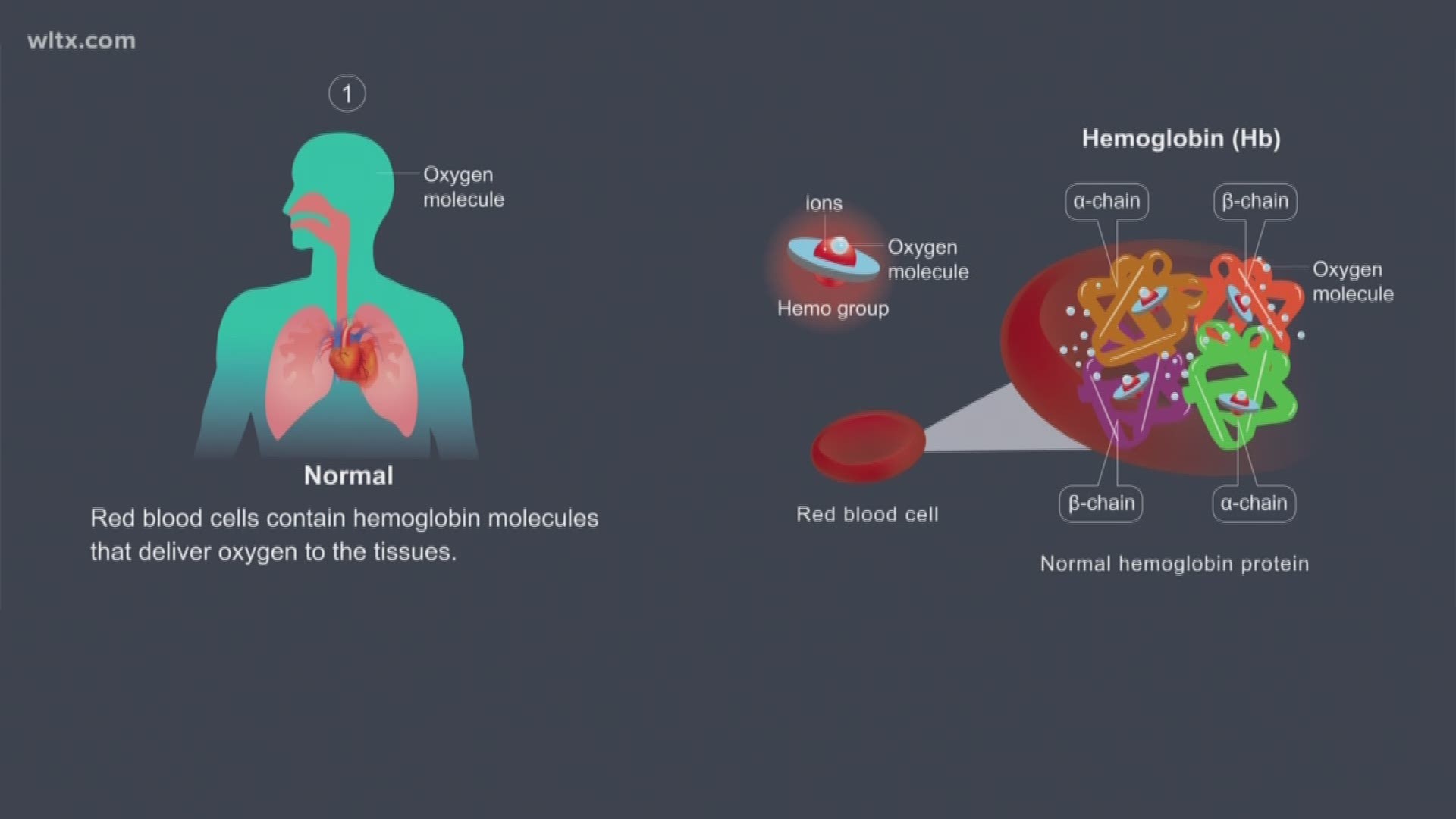 mechanism for carbon dioxide poisoning