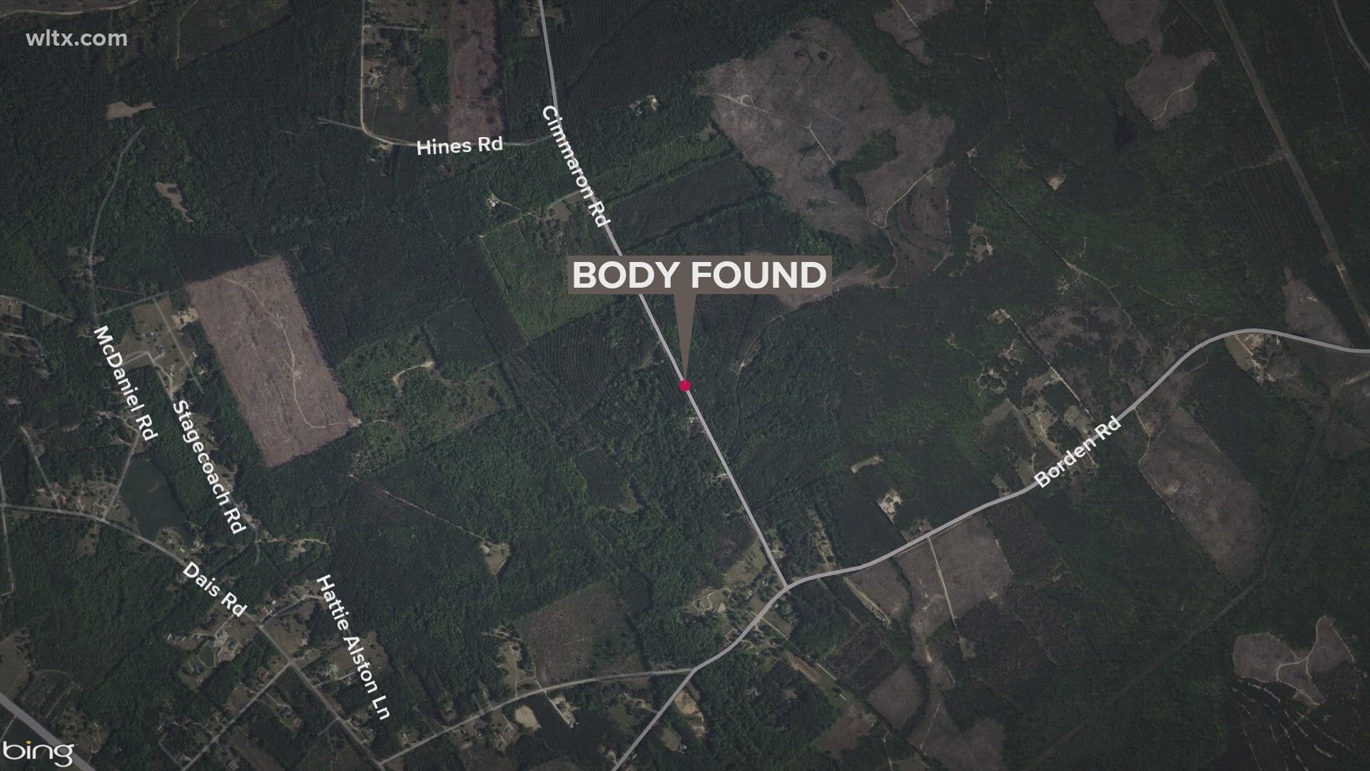 Hunters find body in Sumter county | wltx.com