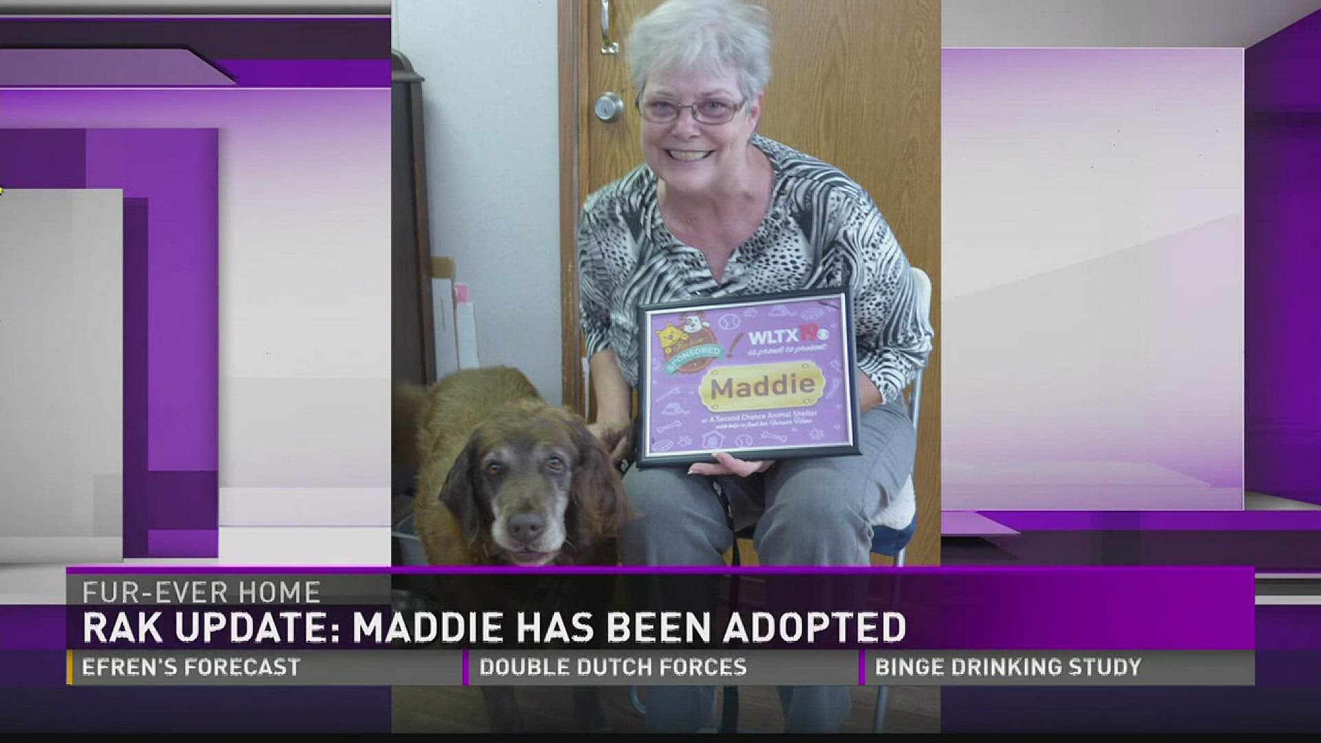 One dog is getting a second chance after being adopted. News19's Ashley Izbicki has an update.