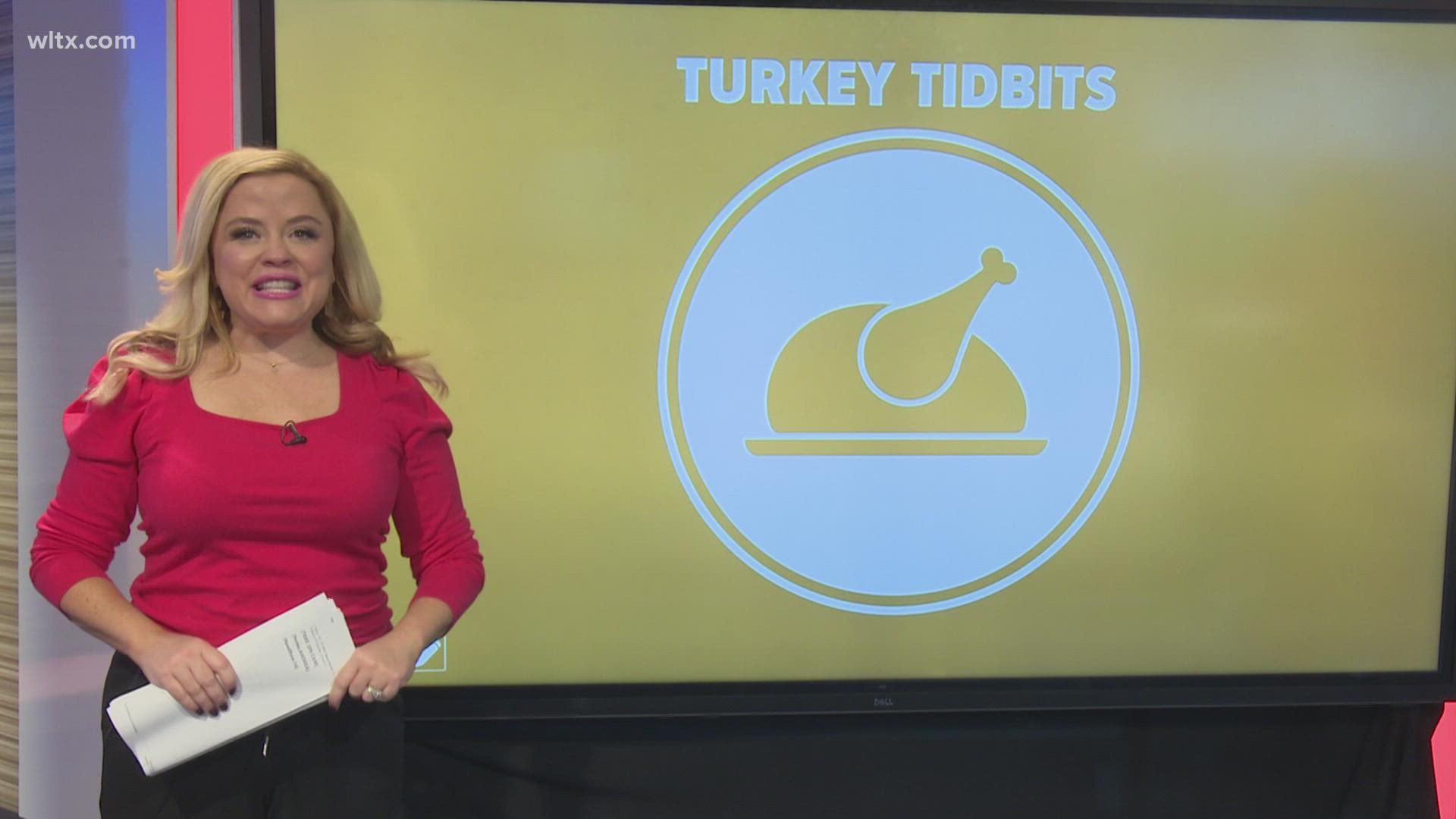 News19's Andrea Mock has some tips for you to safely thaw your turkey