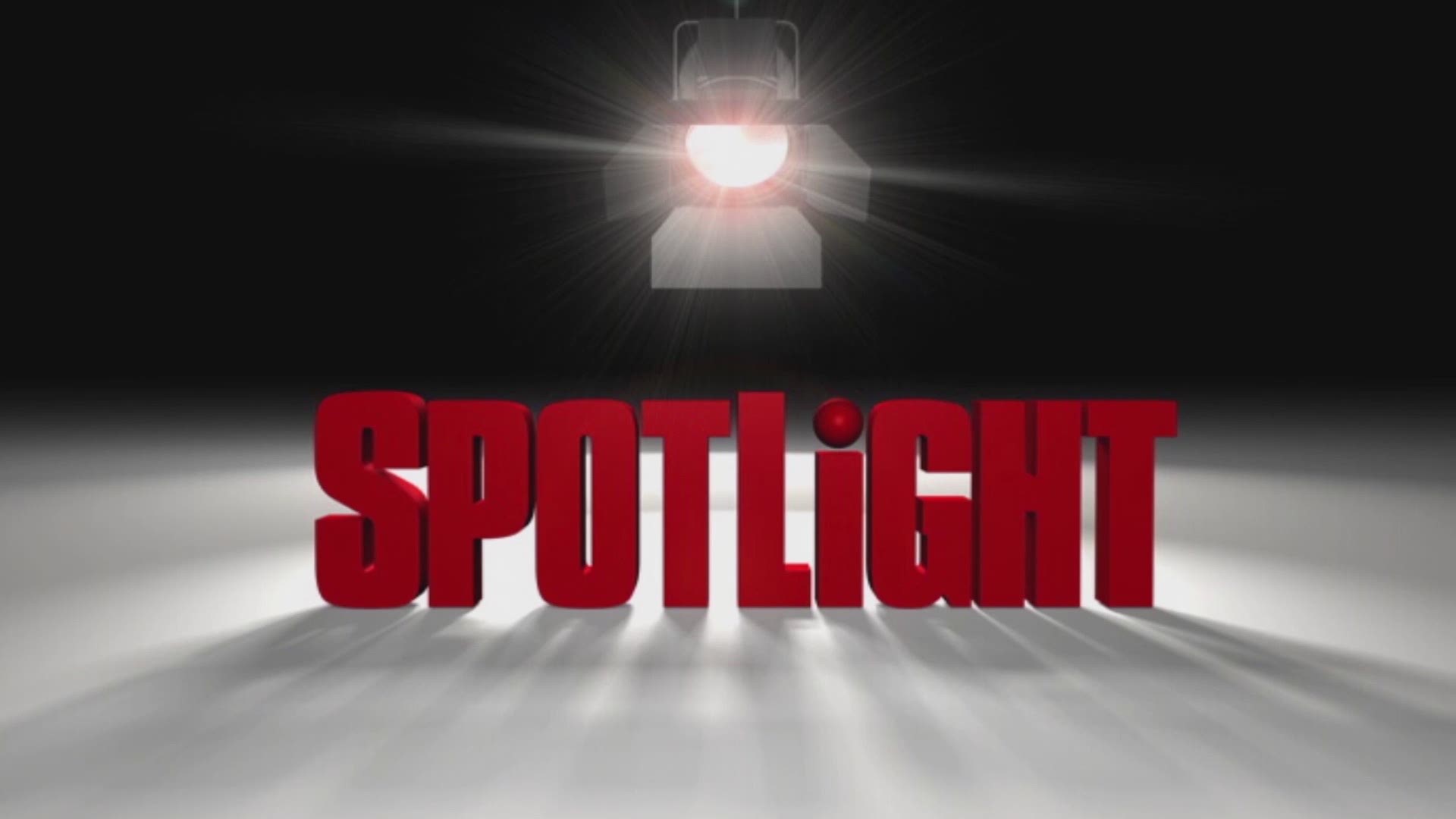 Spotlight speaks with Palmetto Renovations about the services they offer.