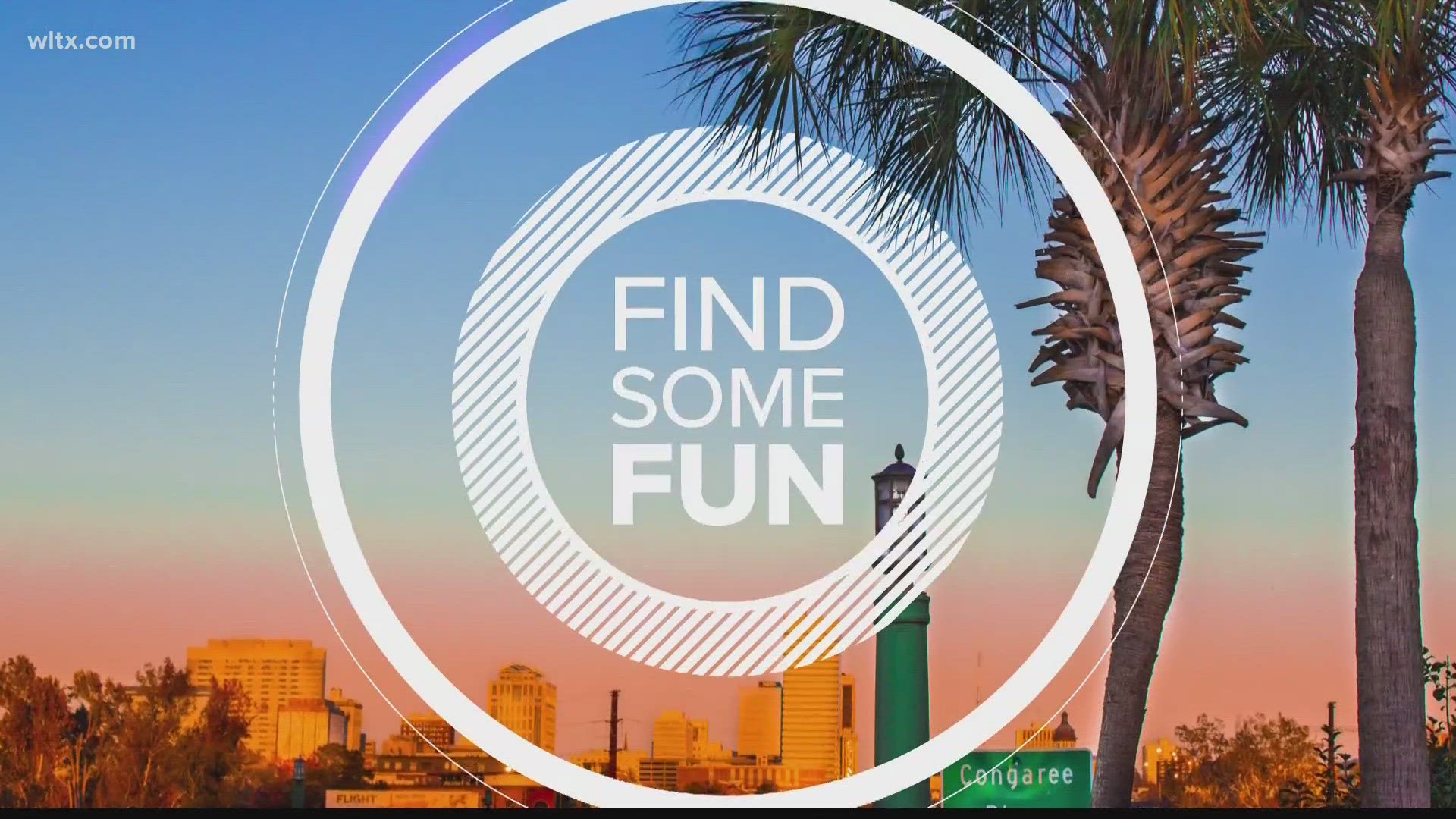 Looking for some fun this weekend? Here are a few ideas to get you started.