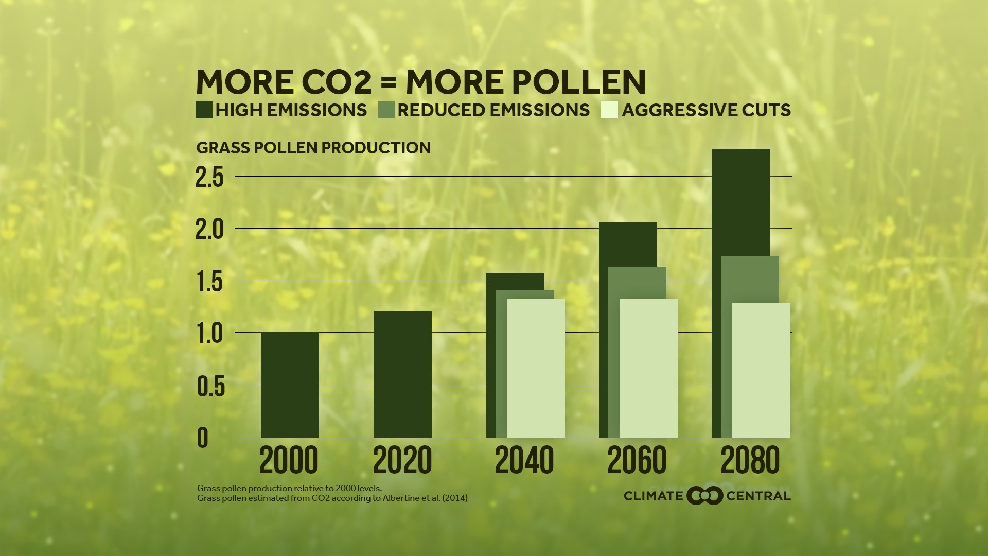 Allergy season longer due to climate change