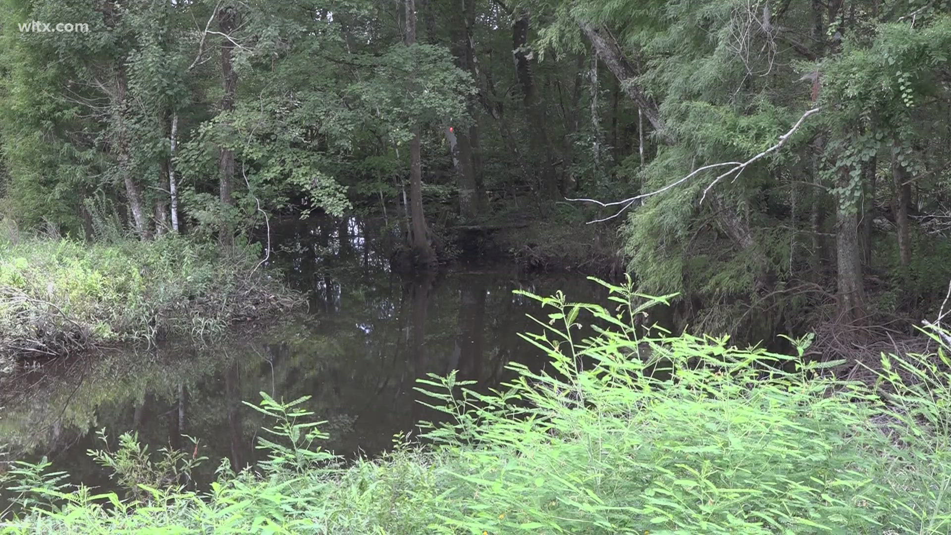 Residents in Orangeburg will have the chance to decide the future of the Horse Range Watershed District.