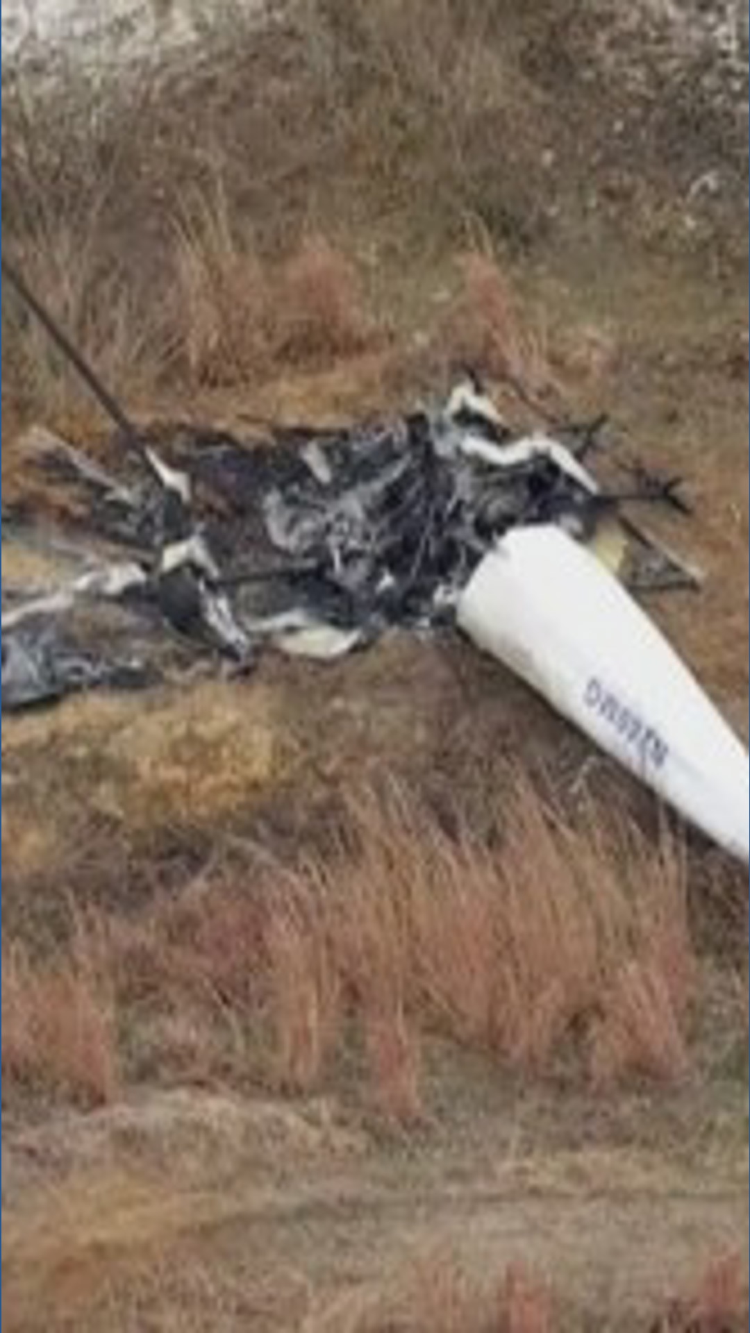 Mid-air helicopter collision kills one, critically injures another