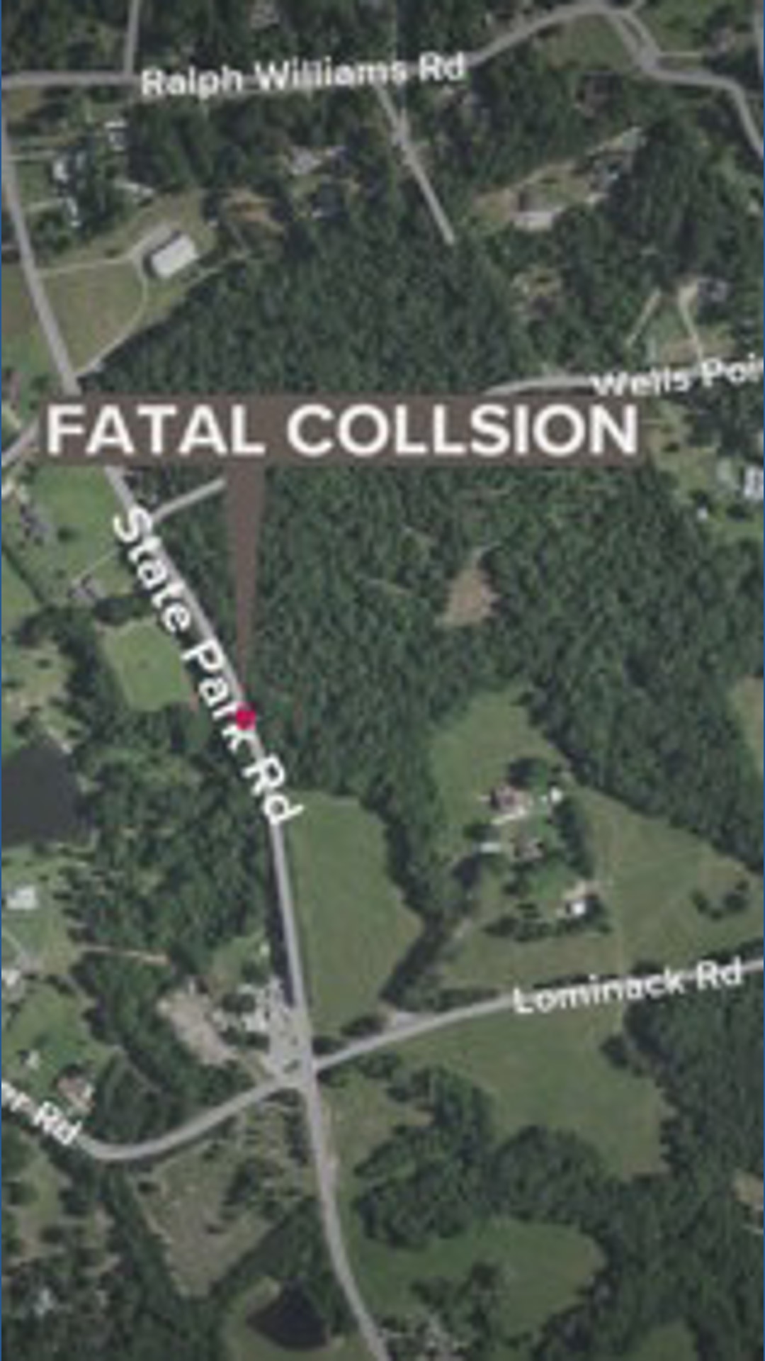 Coroner identifies pedestrian killed in weekend crash | wltx.com