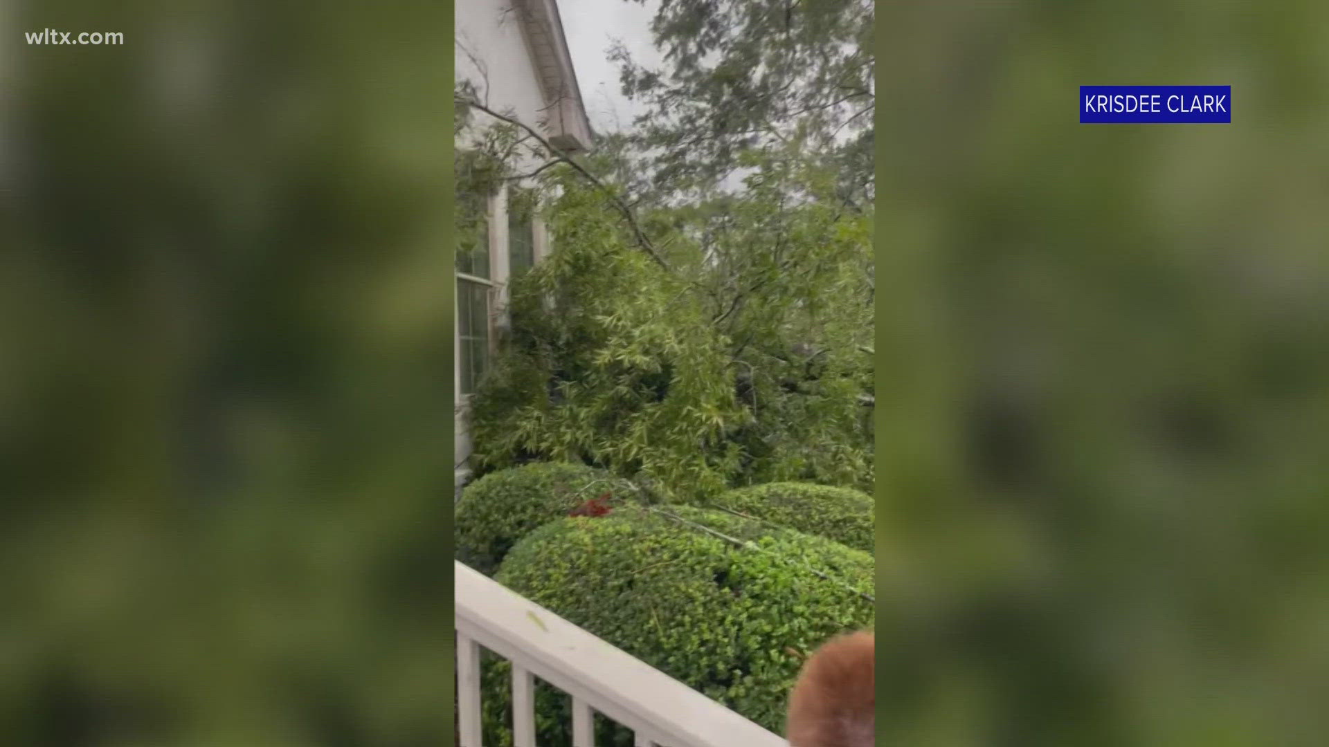 Neighbors in Night Harbor in Chapin, SC were another group hit hard by the impacts of Hurricane Helene. Tree crews were out cleaning up this area all day Saturday.