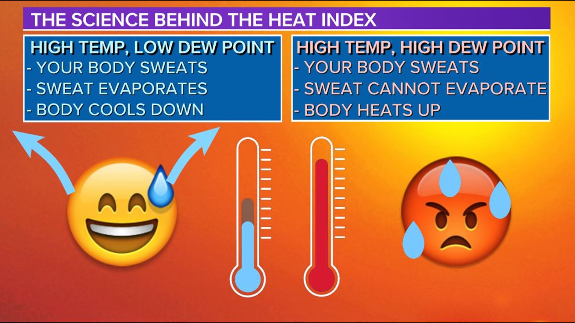 The science behind the heat index