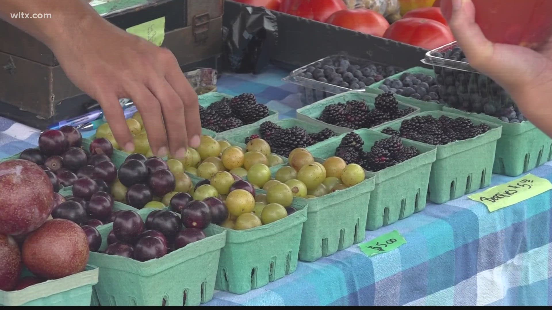 The farmers market is every Friday and it's a chance to get fresh veggies but also catch up with neighbors.