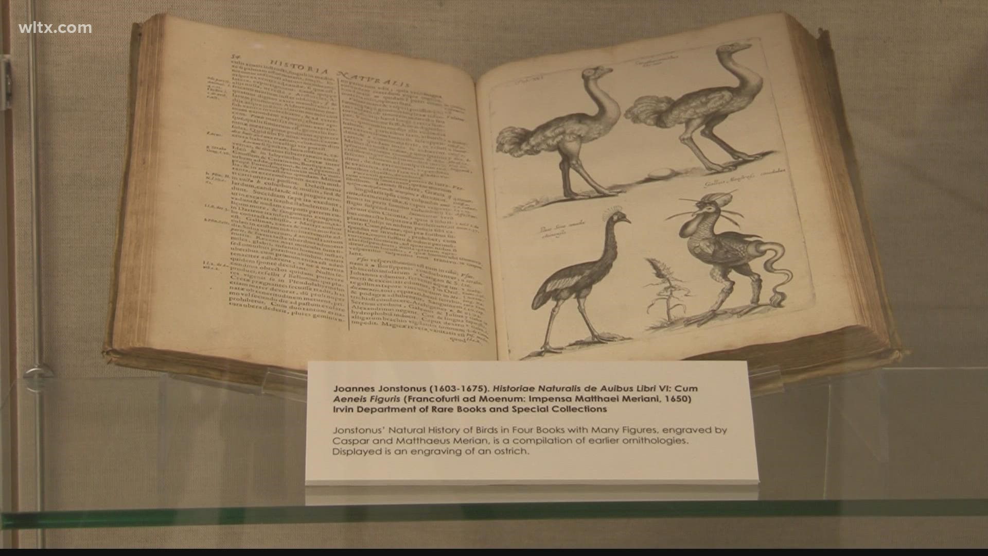 An exhibit at USC takes a look at the natural history of the southeast region.   Its the artwork of Explorer and naturalist Mark Catesby, who died in 1749.