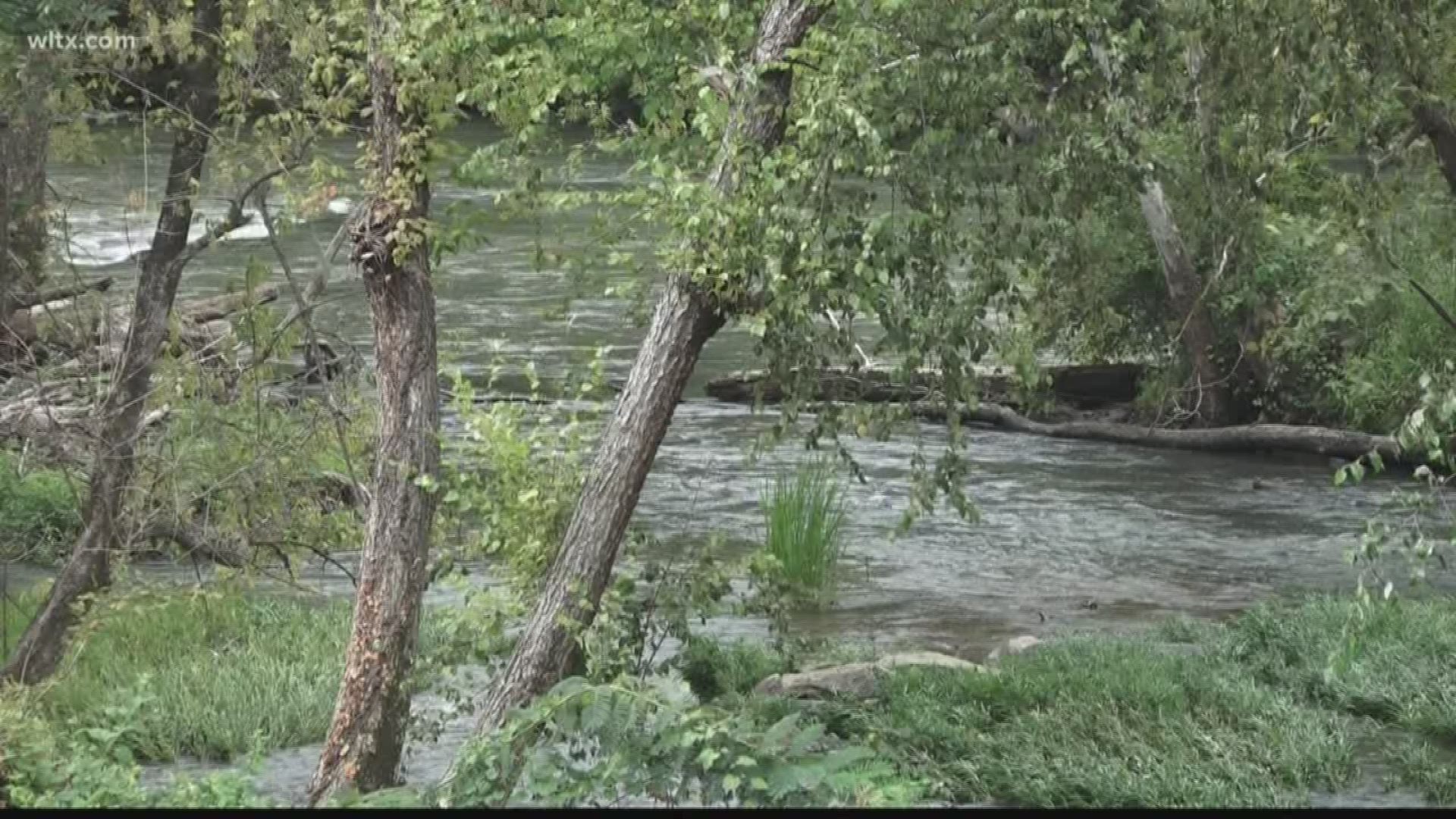 A state commission is asking for artificial reefs, a new 400-acre artificial lake and more in an effort to combat flooding in South Carolina.