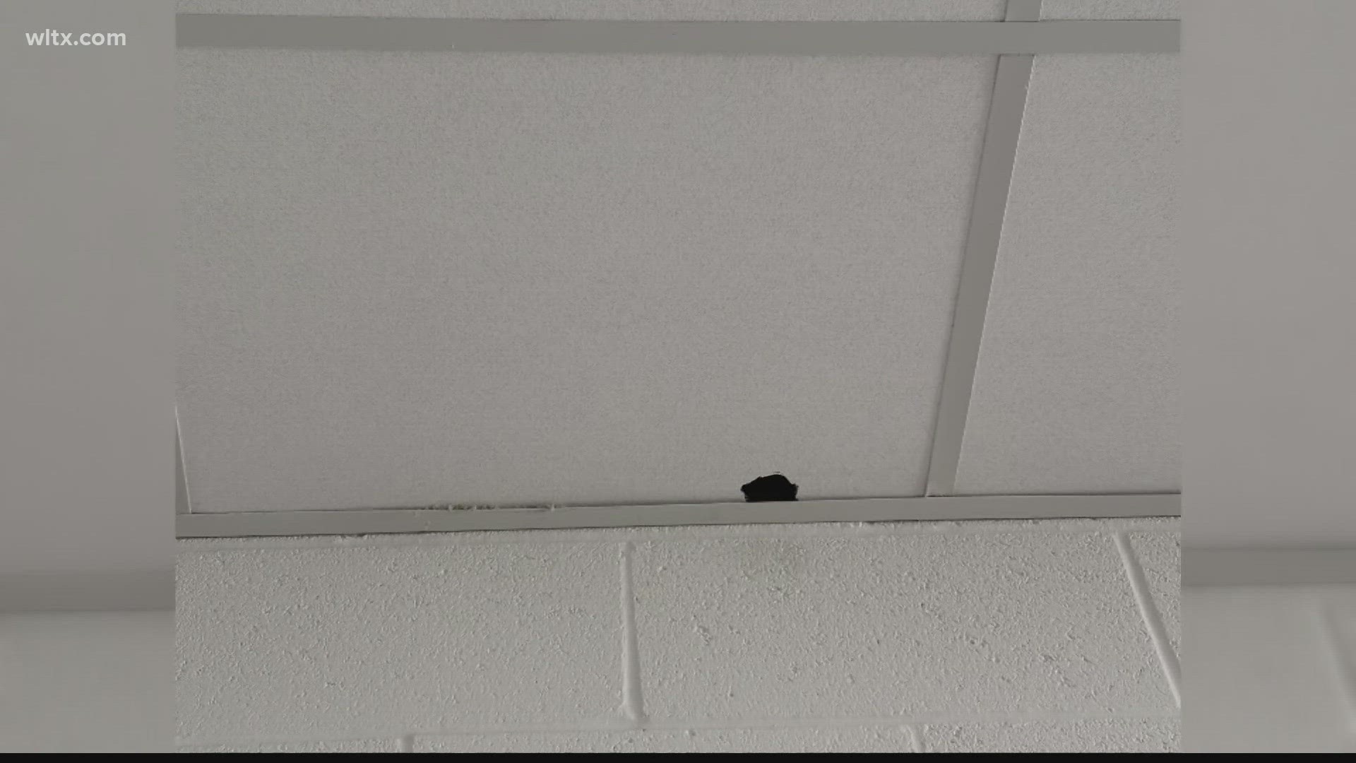 Back in February, pictures circulated on Facebook showing rat droppings in some Richland One classrooms.