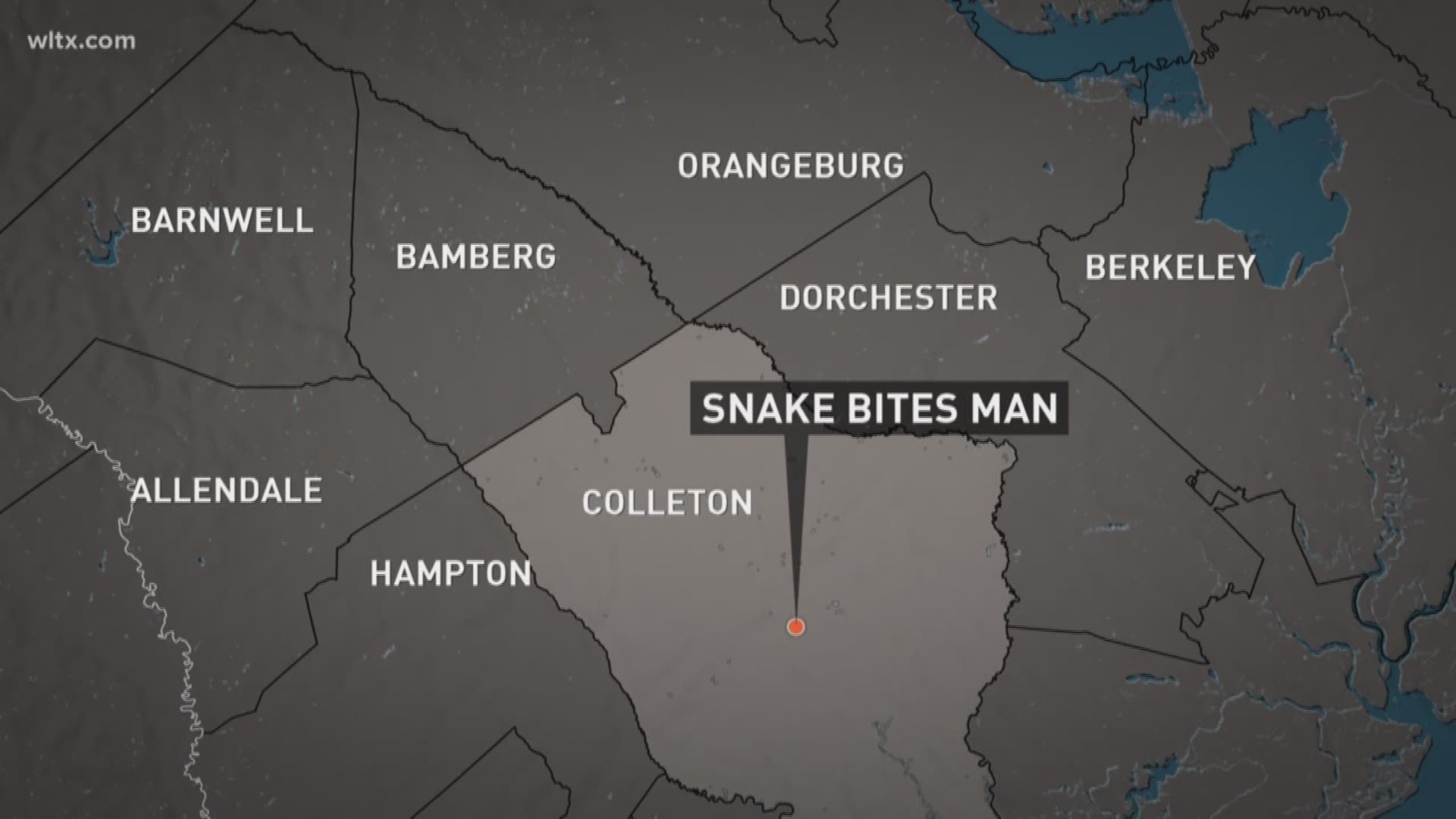 A South Carolina man is in critical condition after a rattlesnake fell and bit him. 