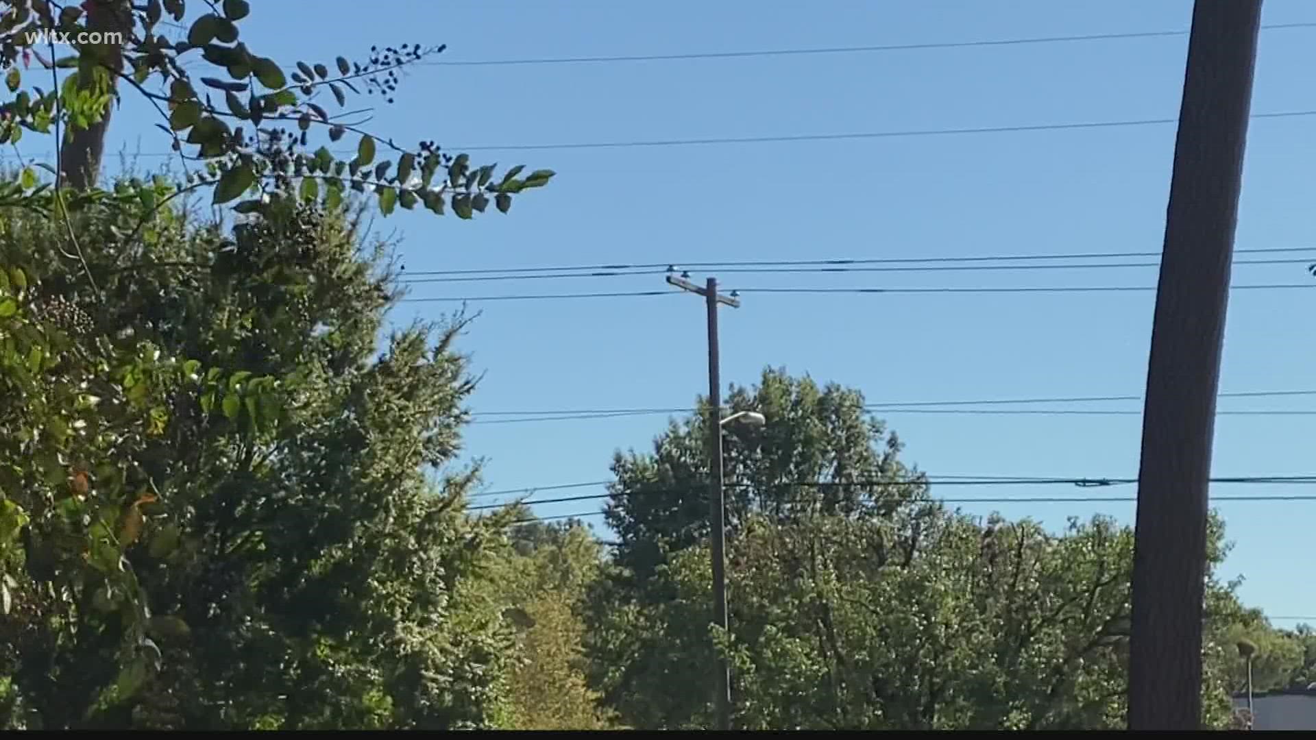 Some residents in southeast Columbia say they've seen an increase in power outages.  We spoke to Dominion Energy to try and get answers.
