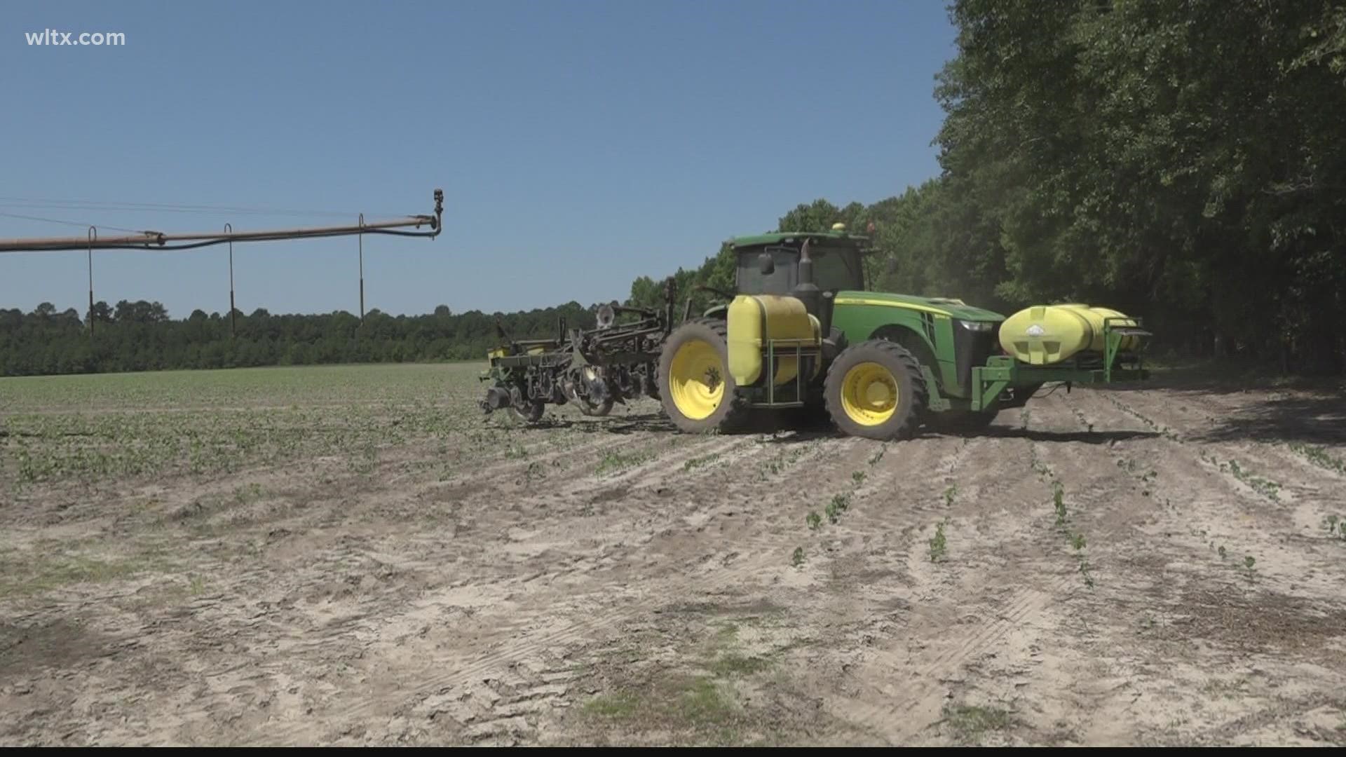 In South Carolina an agriwellness program makes it possible for farmers to receive help over the phone.