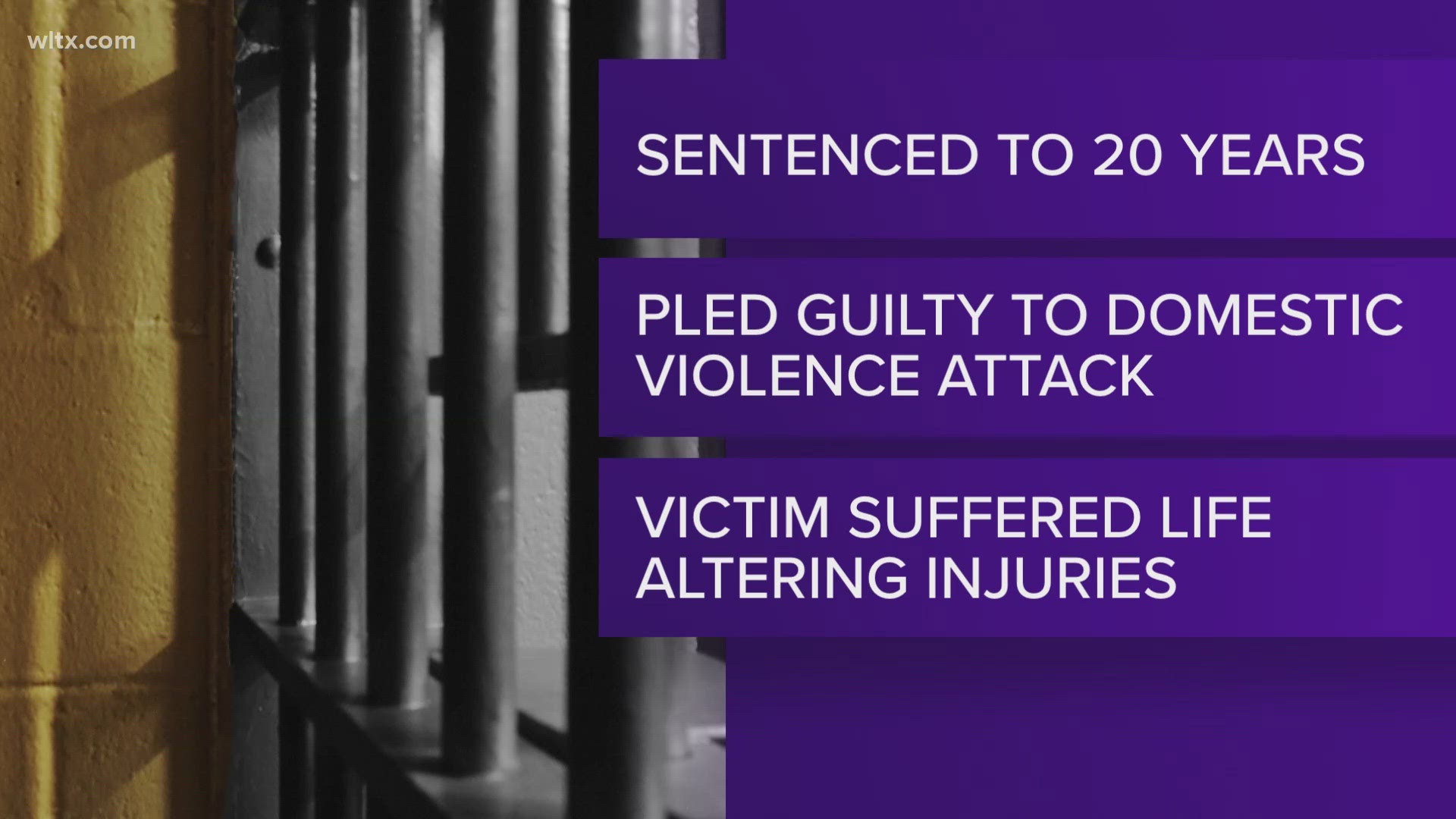 Lexington County man sentenced to 20 years for brutal domestic violence ...