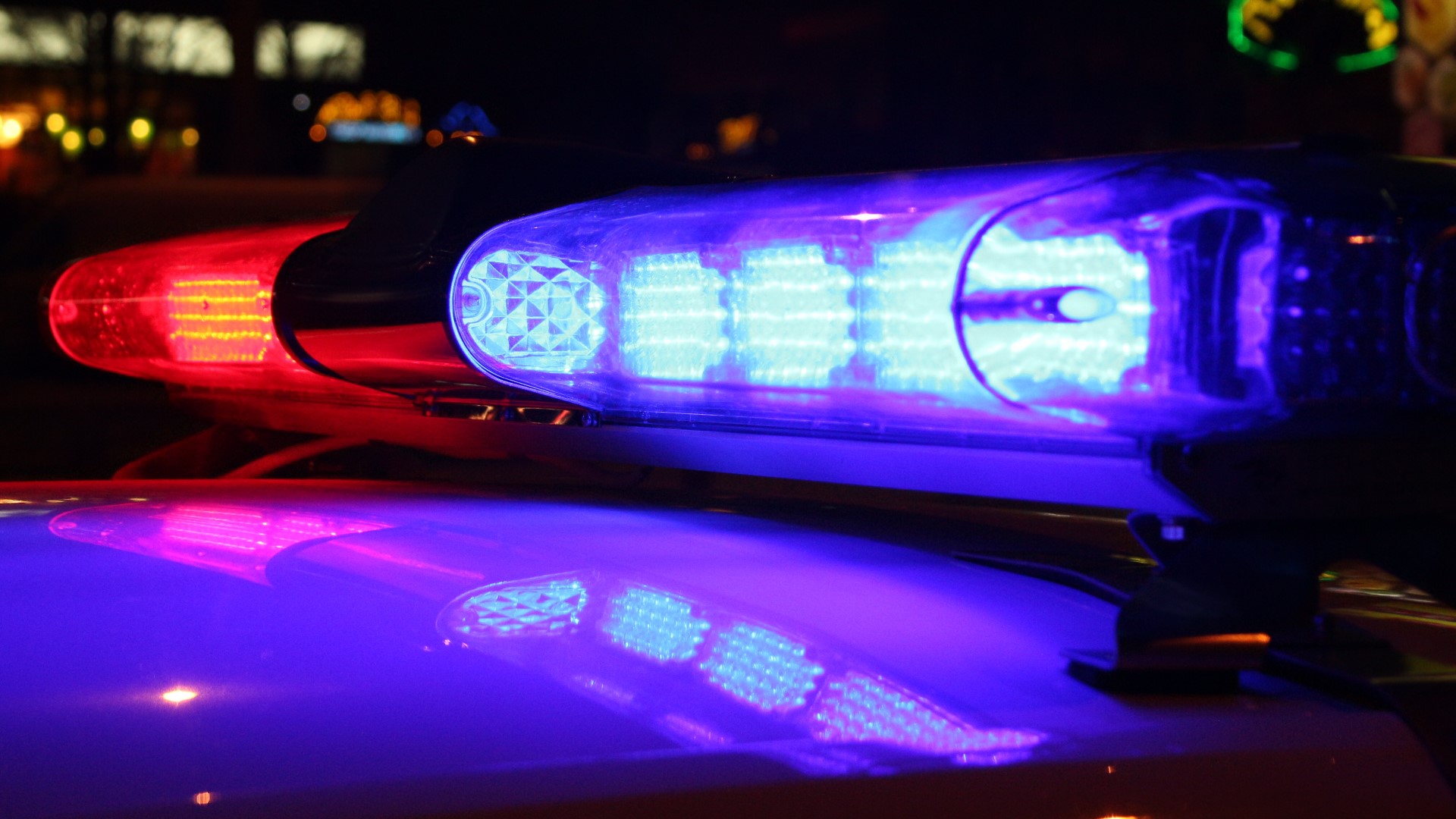 Bull on the loose in Newberry County town, police searching for animal