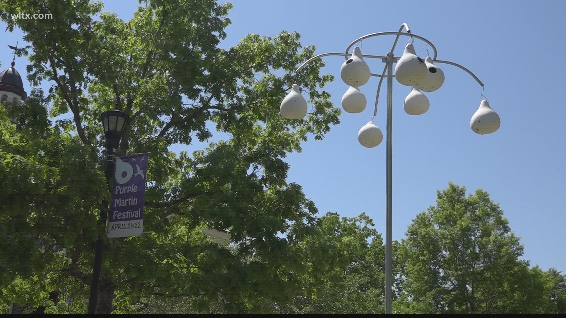 Fifty years ago the St. Matthews Rotary club built birdhouses for the birds homecoming.  Ten of those birdhouses still exist.