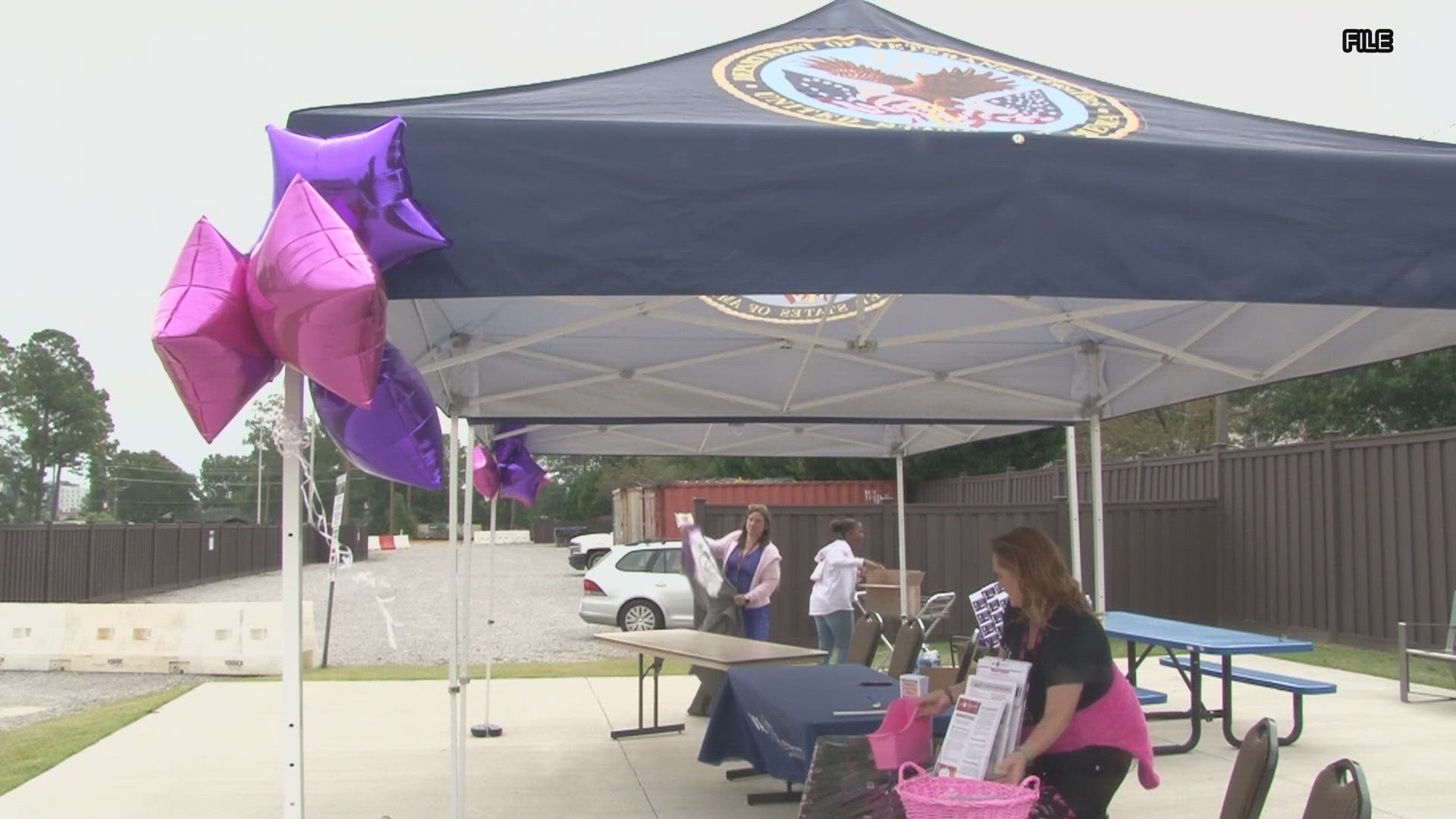 The walk aims to raise awareness for both breast cancer and domestic violence awareness month.