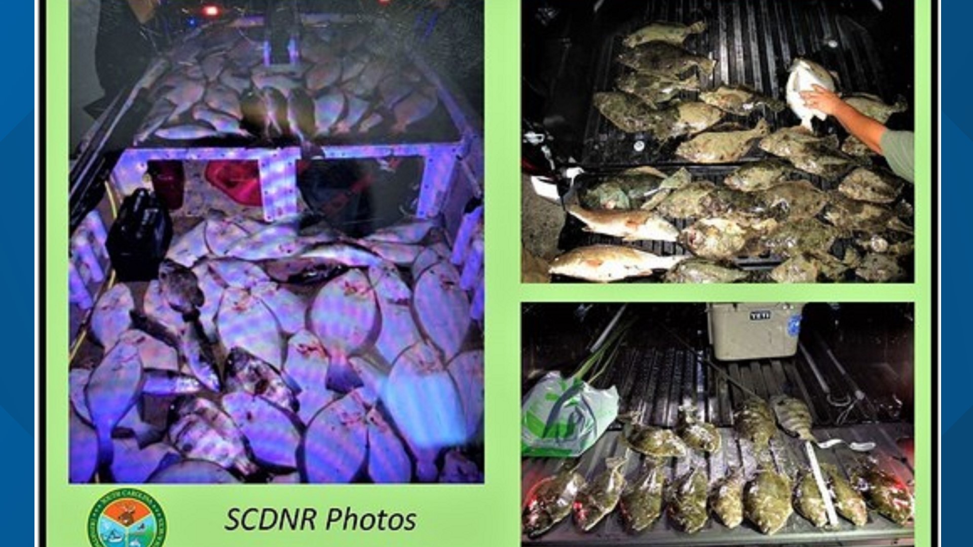 scdnr-charges-3-with-illegal-catch-of-flounder-wltx