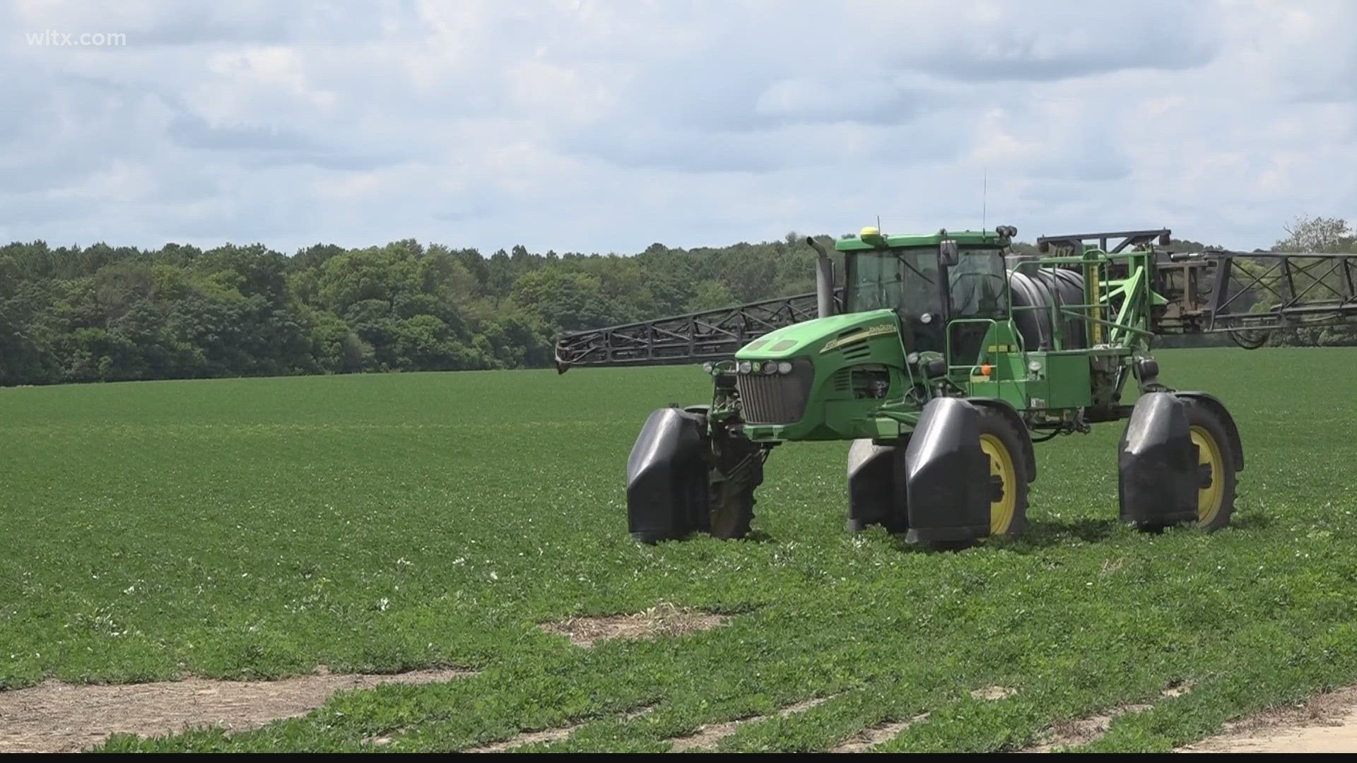 Council leaders in Orangeburg purchased a large amount of land that they hope will grow the western side of the county's economy.