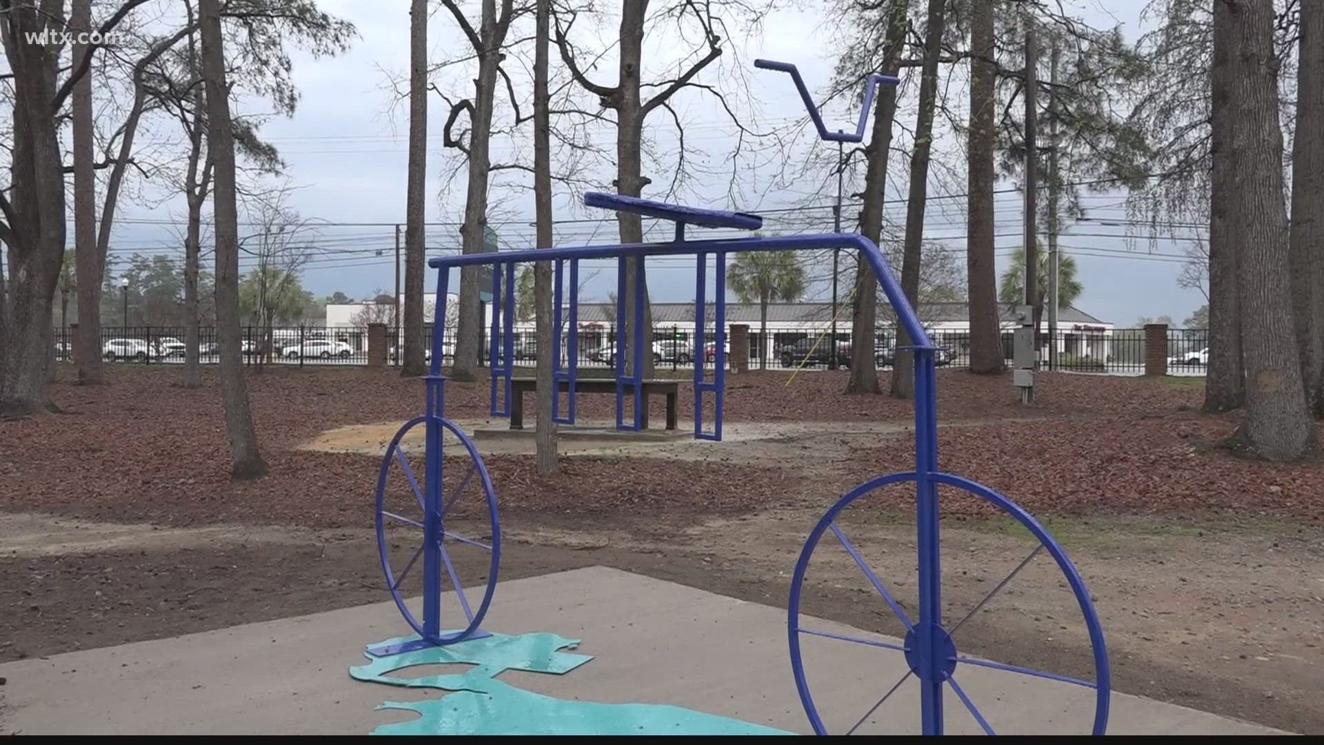 Nine students from Lexington Two's innovation center have created something that the entire city can use, a bike rack at Guignard Park.