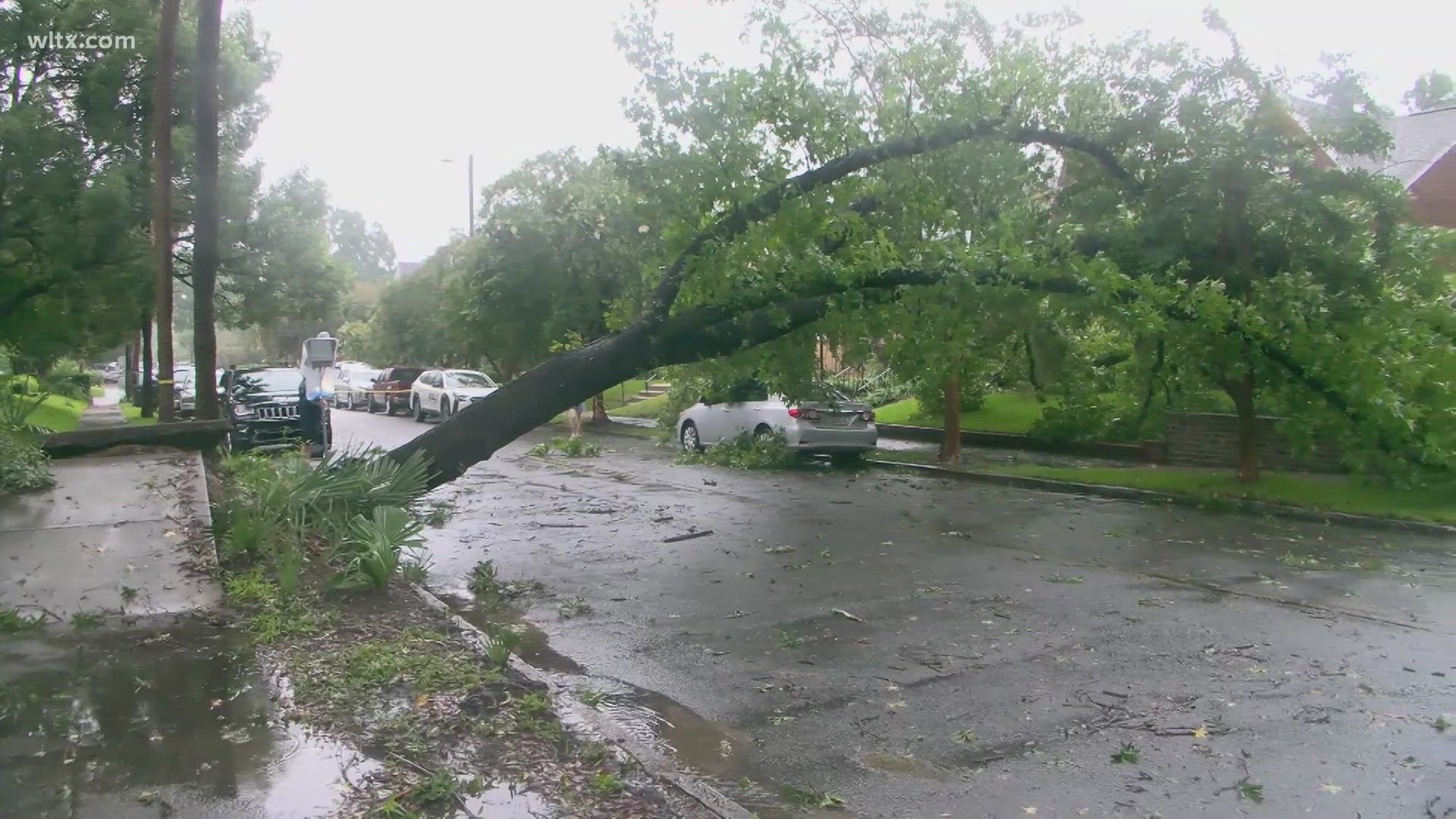 The ground gets saturated and makes it easier for wind to knock over trees, its one of the worries with the rain from Tropical Storm Debby.