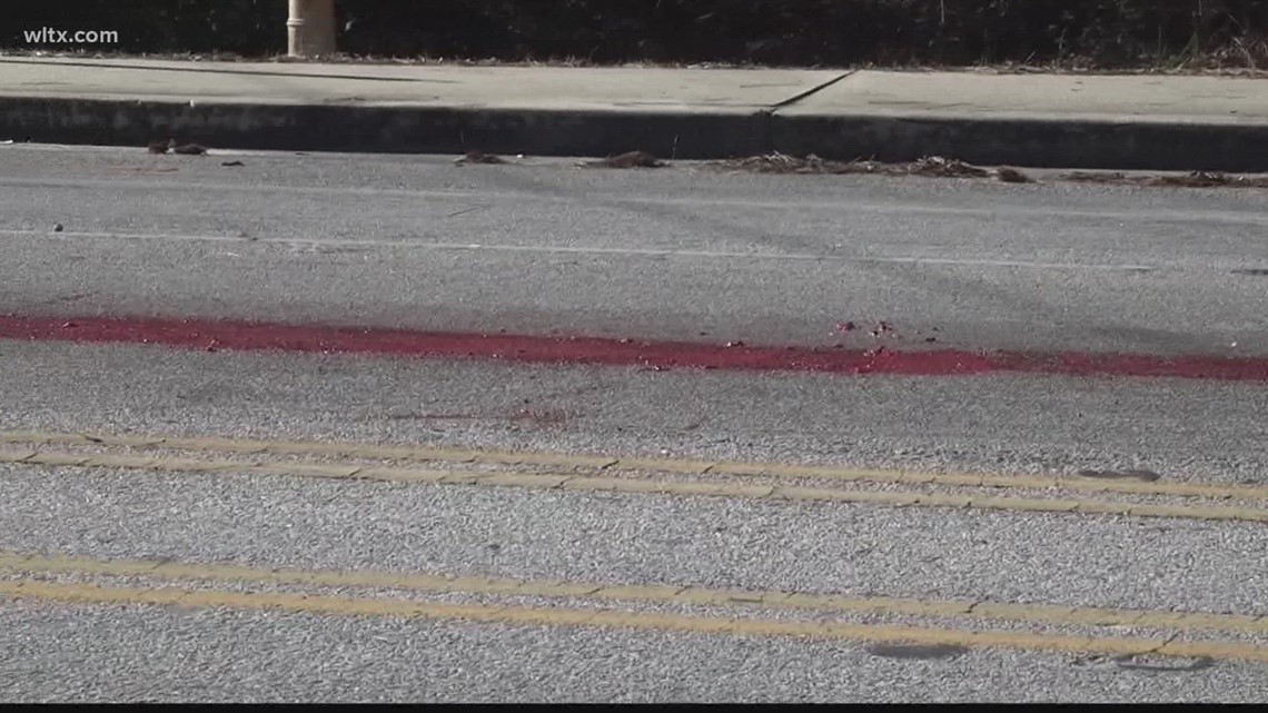 Blood and guts spilled on Newberry County SC roads? What we know - Vimarsana News