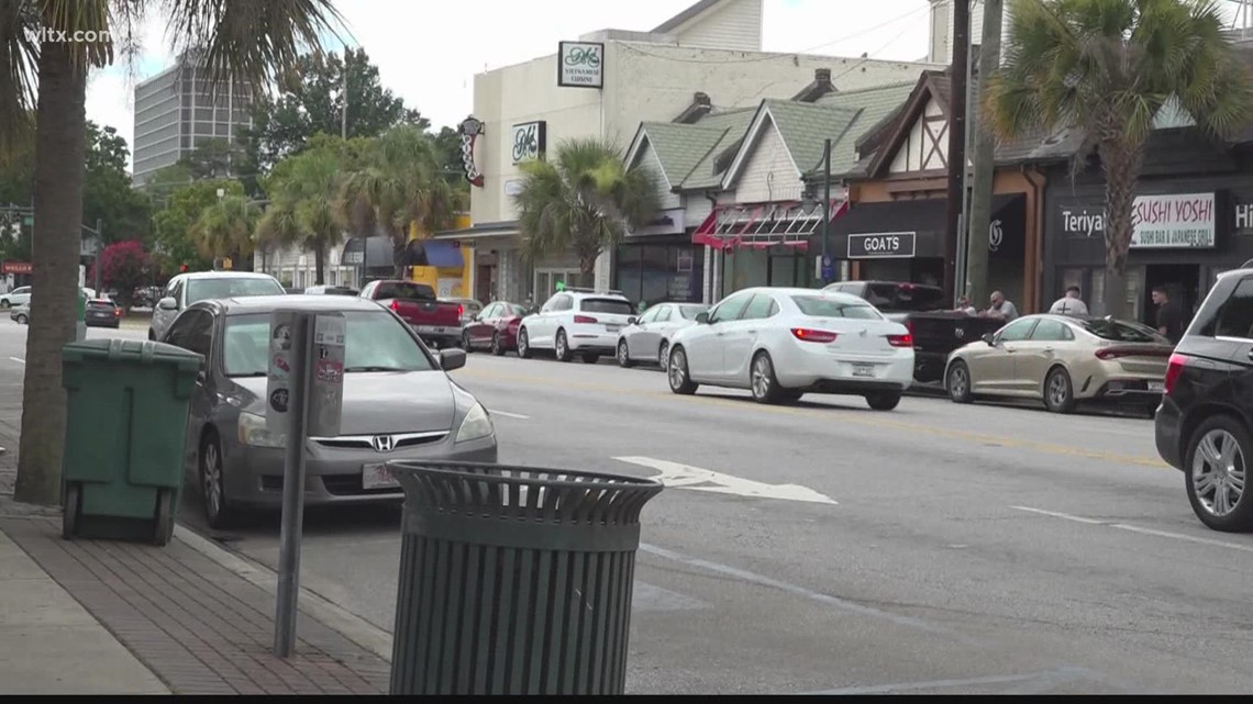 Gas prices and cost of goods in South Carolina - Vimarsana News