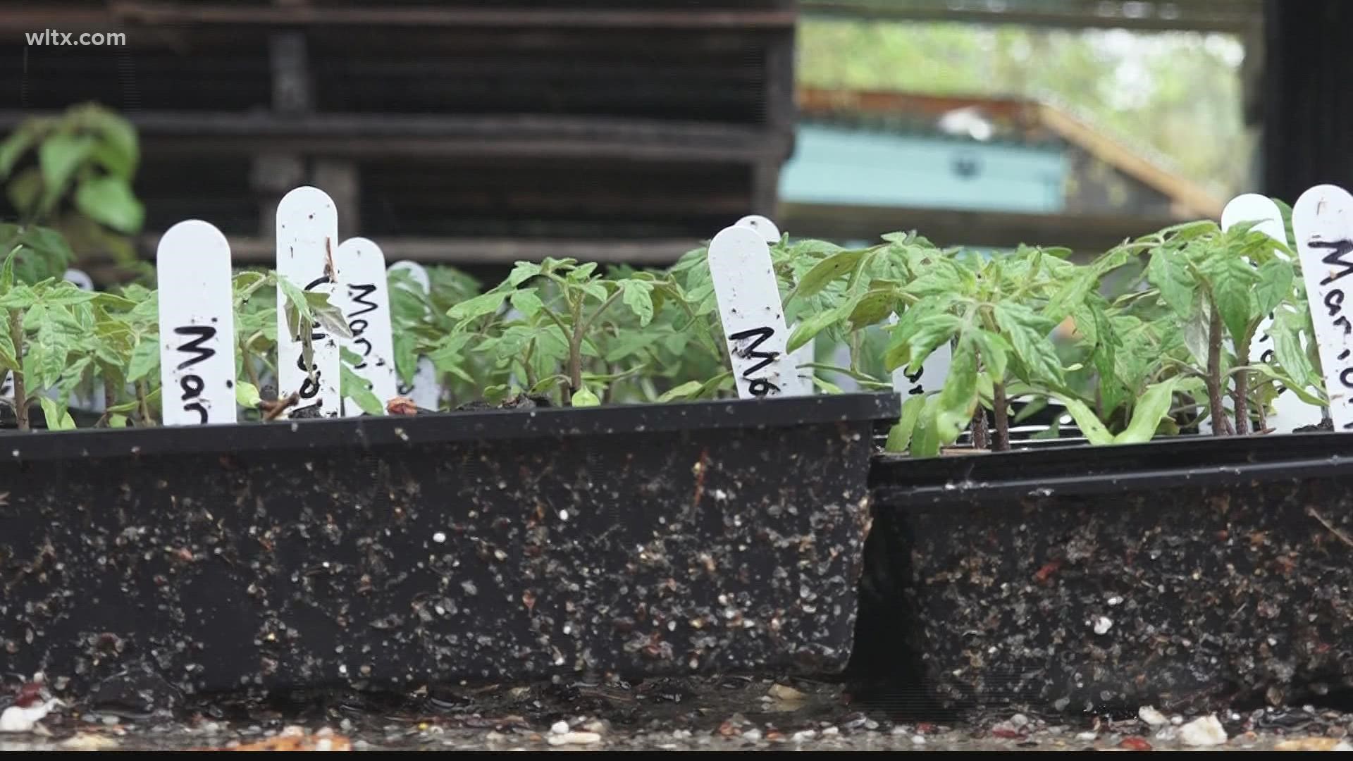 Local farmers are saying the inclement weather this week will likely them to delay planting their next season of crops.