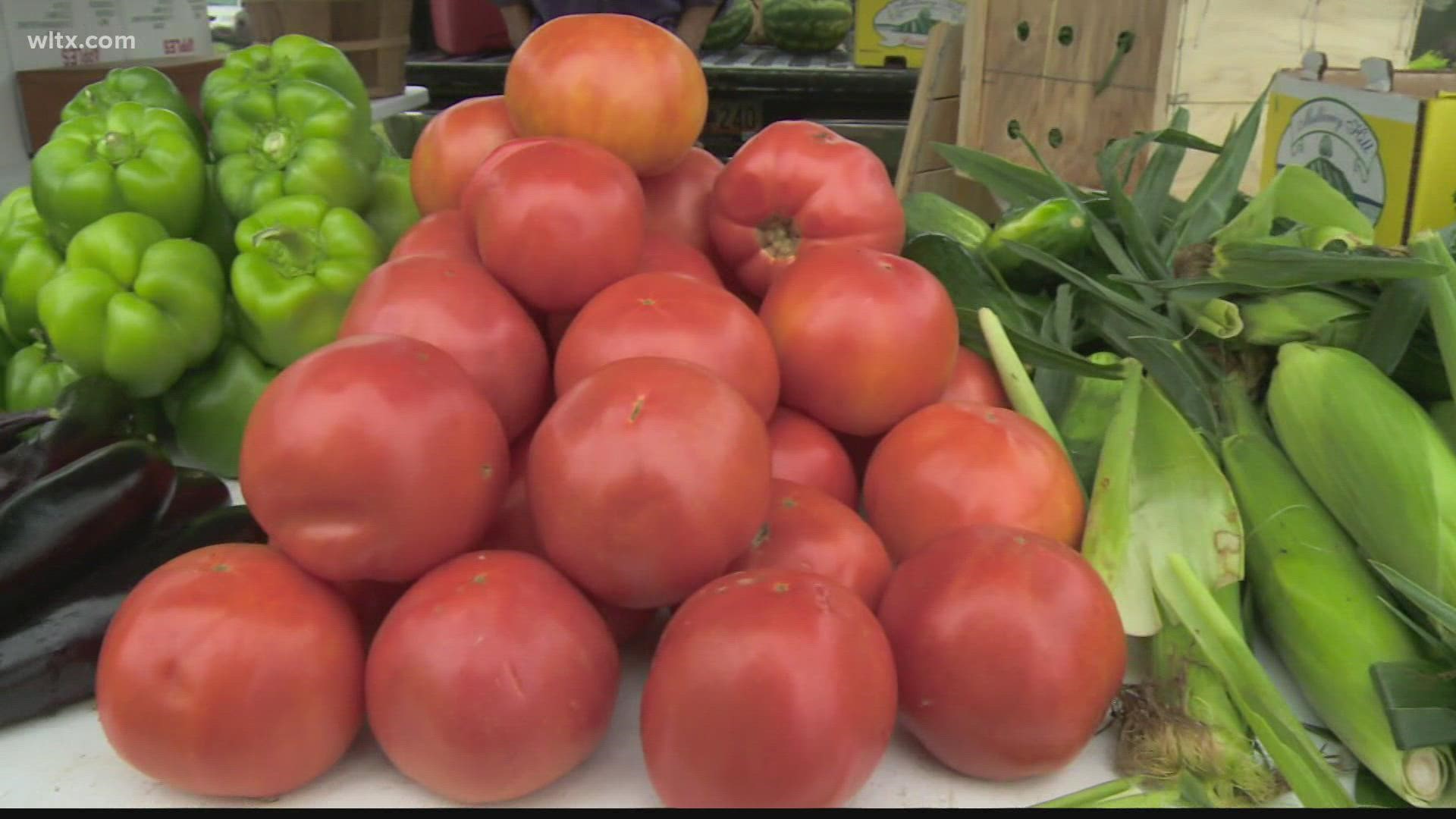 A new program called “Growing Local SC” aims to get healthy food into the homes of all South Carolinians.