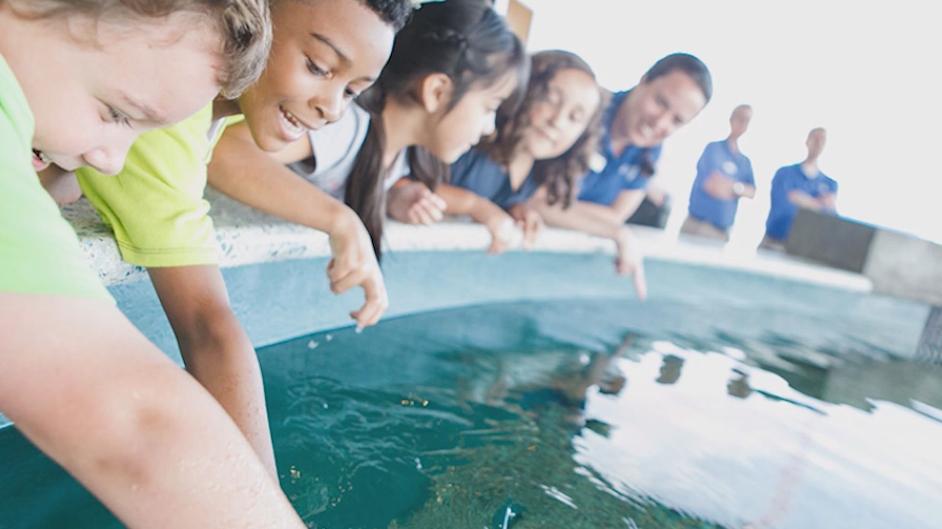 Looking for a good thing to do with your family? Come take a trip down to Patriots Point and the South Carolina Aquarium.