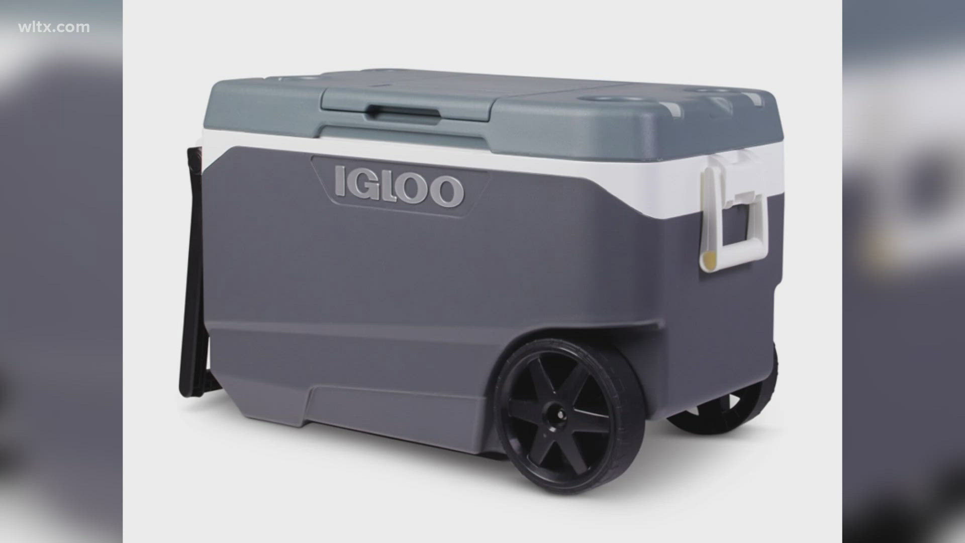Igloo cooler recall What to know